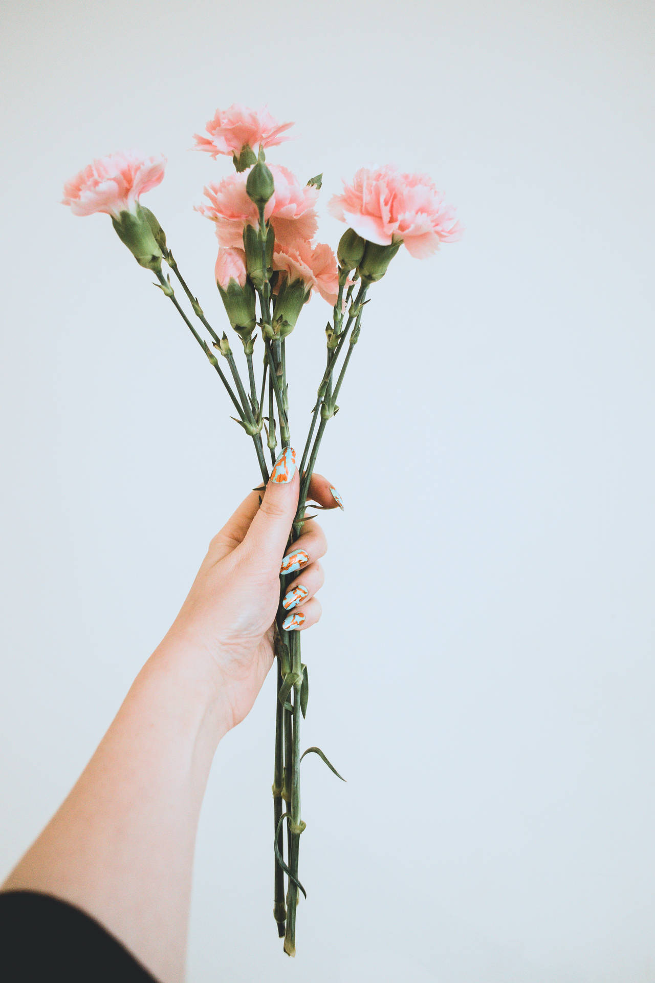 Hand With Pink Flowers Aesthetic