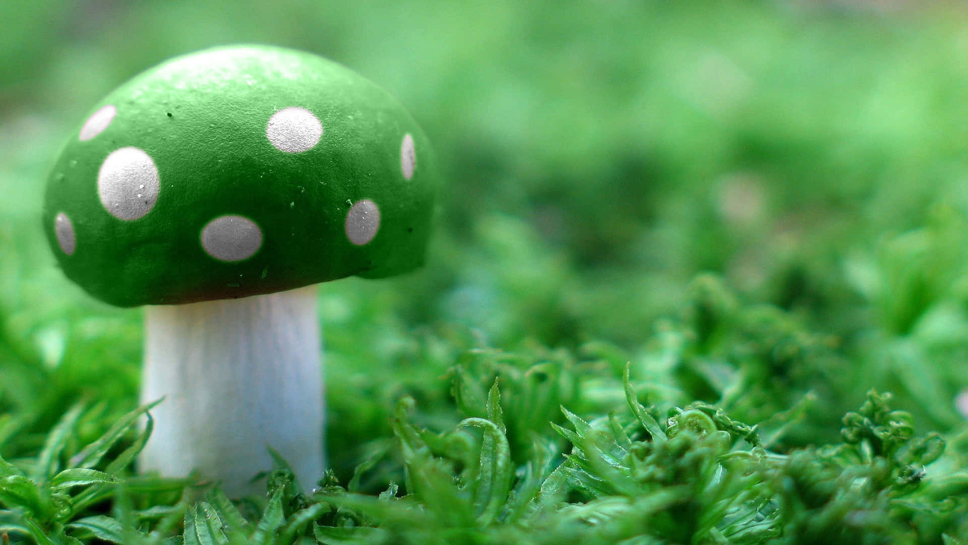 Handcrafted Felted Fungus With Green Cap