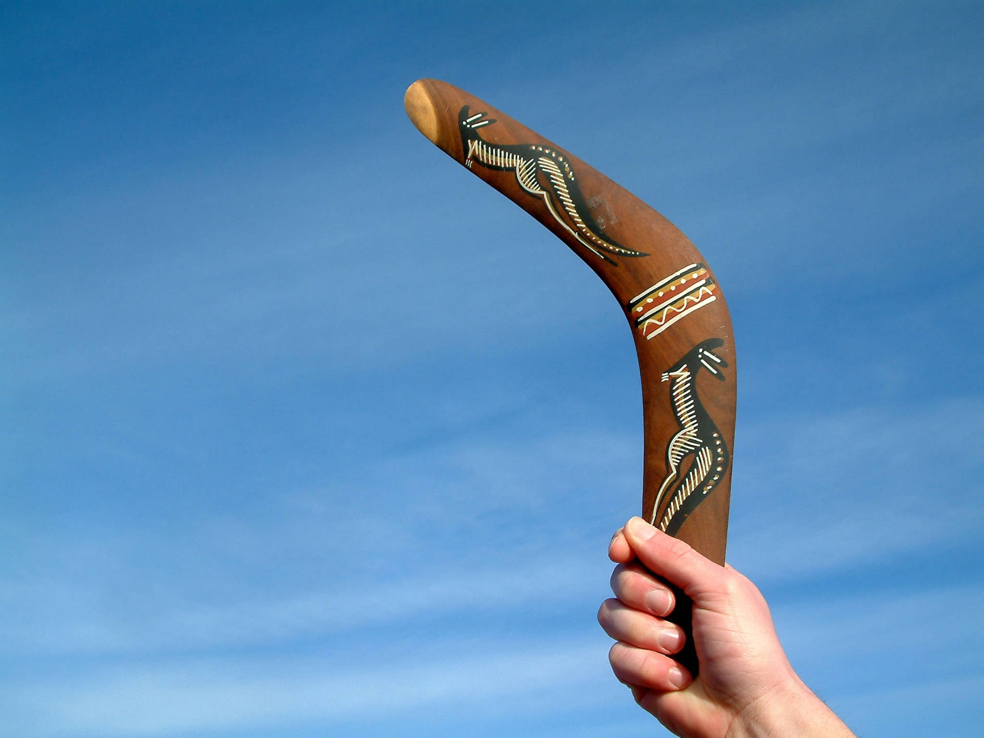 Handheld Aboriginal Boomerang Background