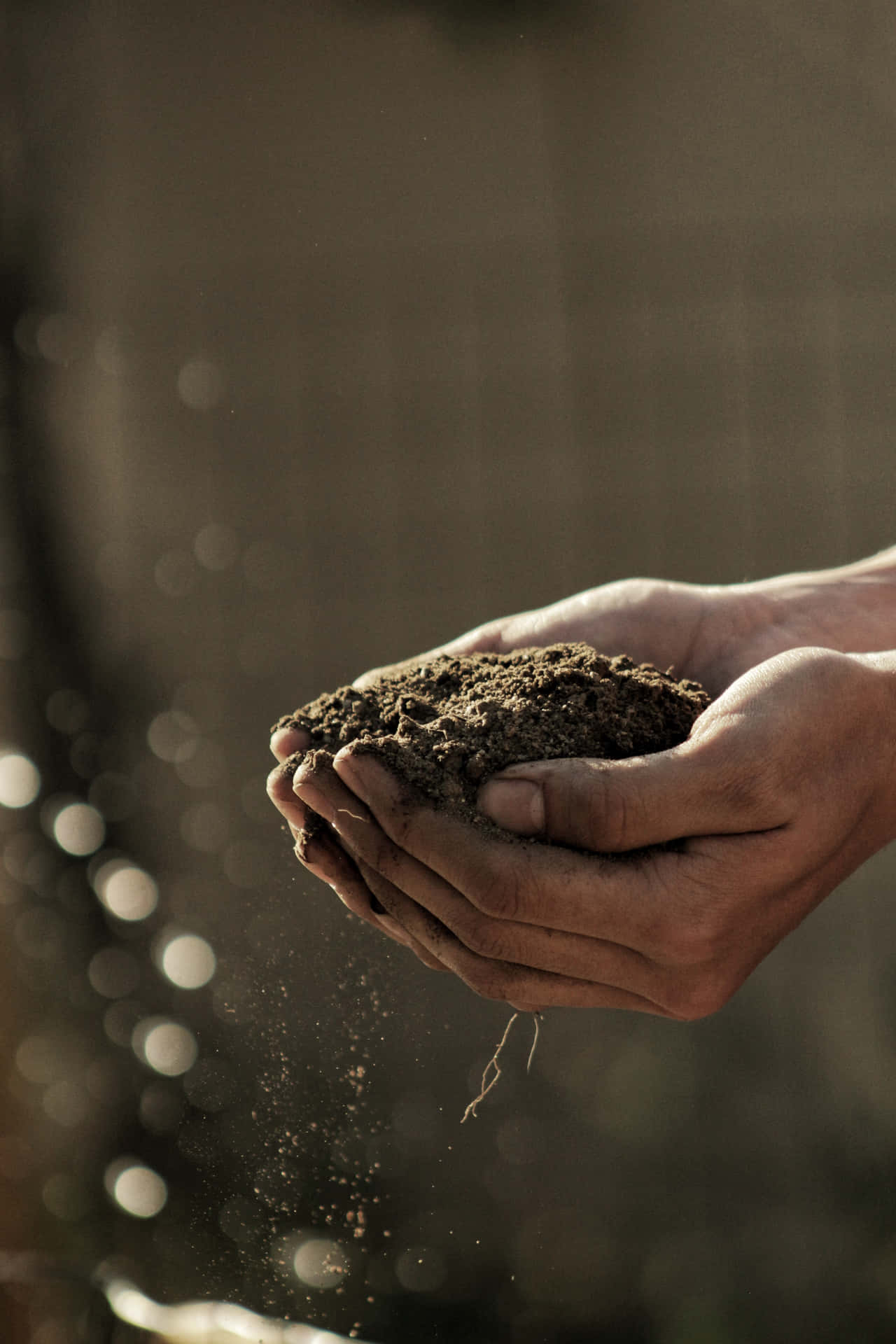 Hands Carrying A Natural Earth Soil Background