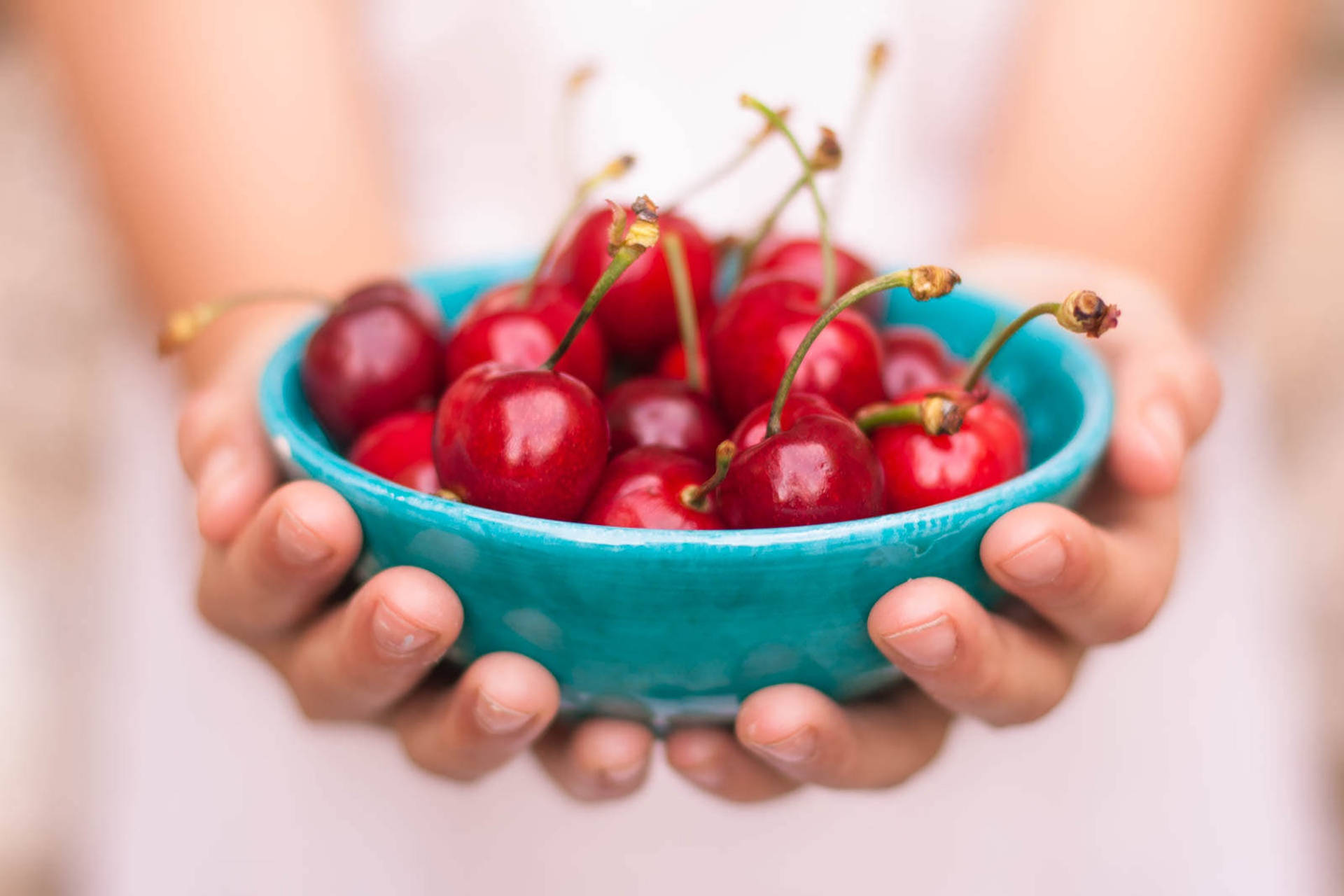 Hands Holding Bowl Of Cherries Background