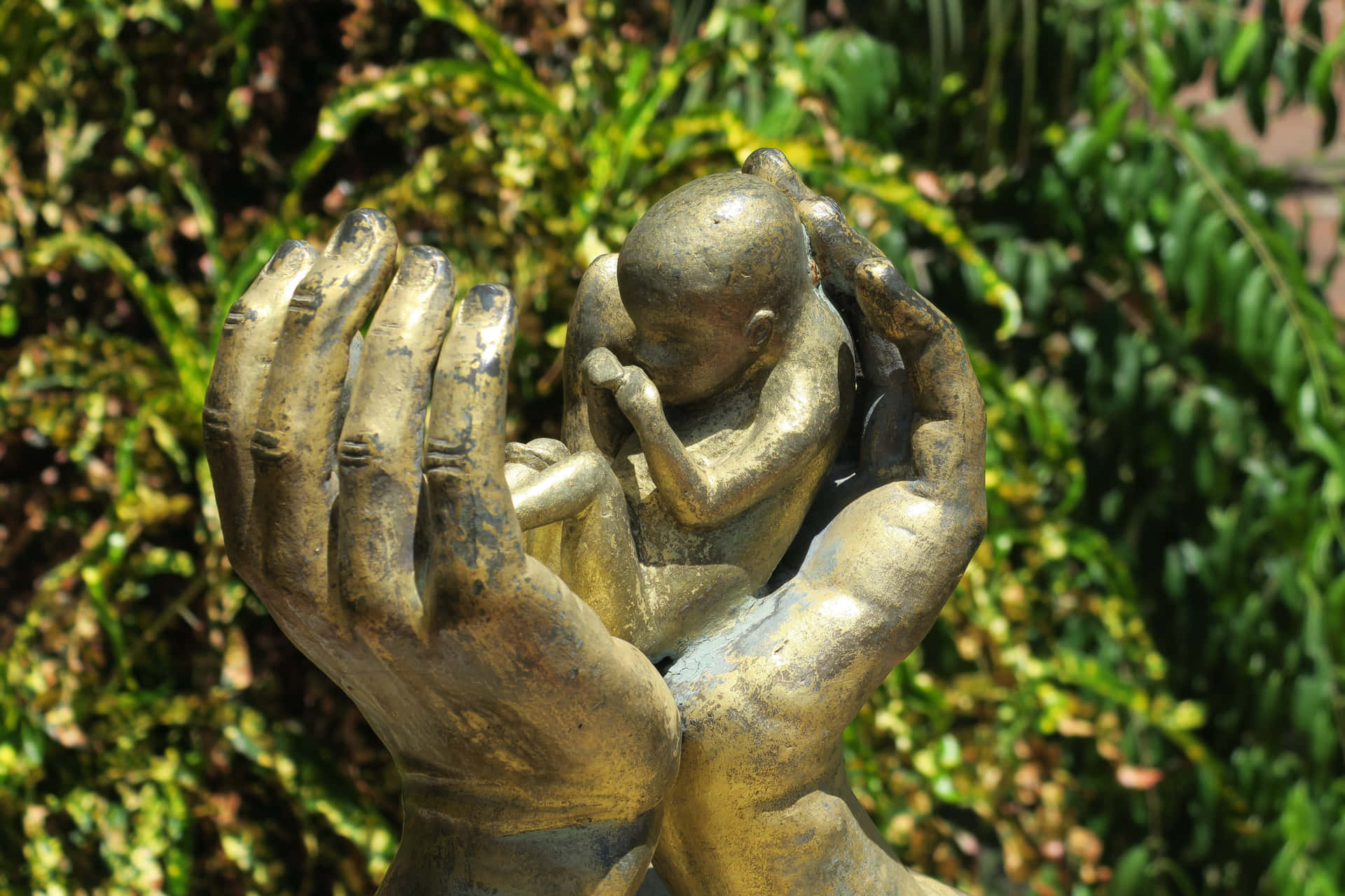 Hands Shielding Baby - Conceptual Representation Of Anti-abortion