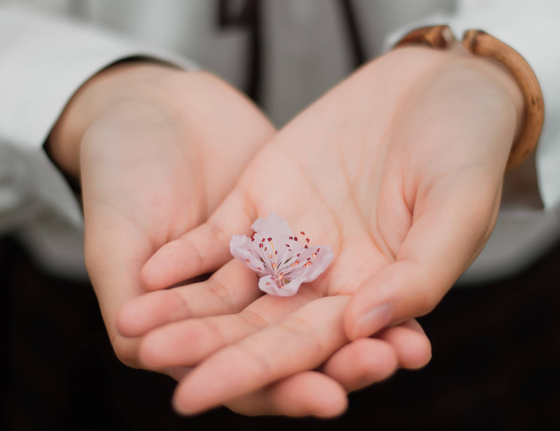 Hands Small Flower Background