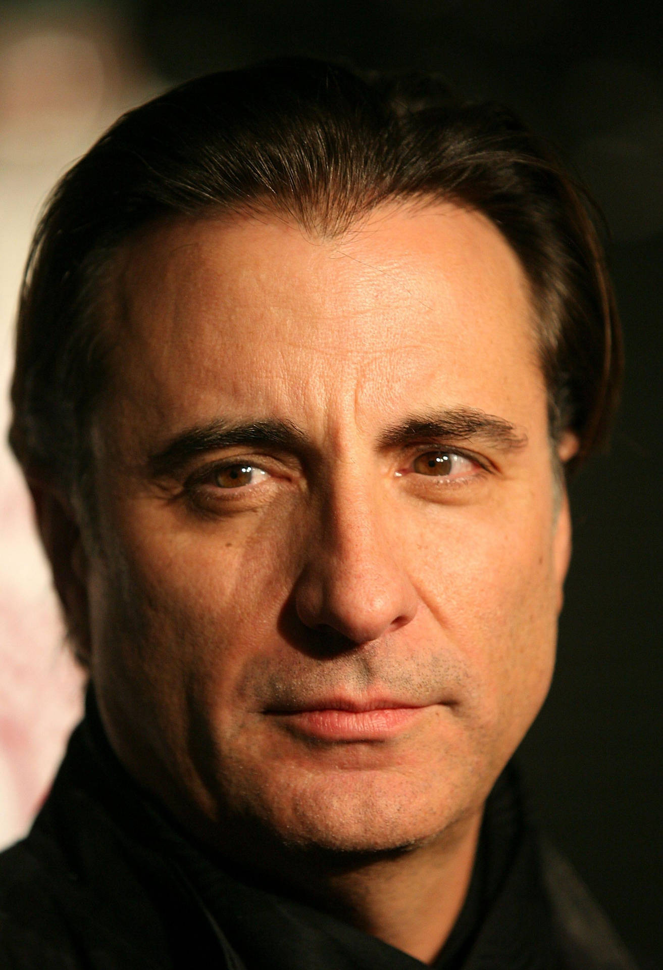 Handsome Andy Garcia Portrait