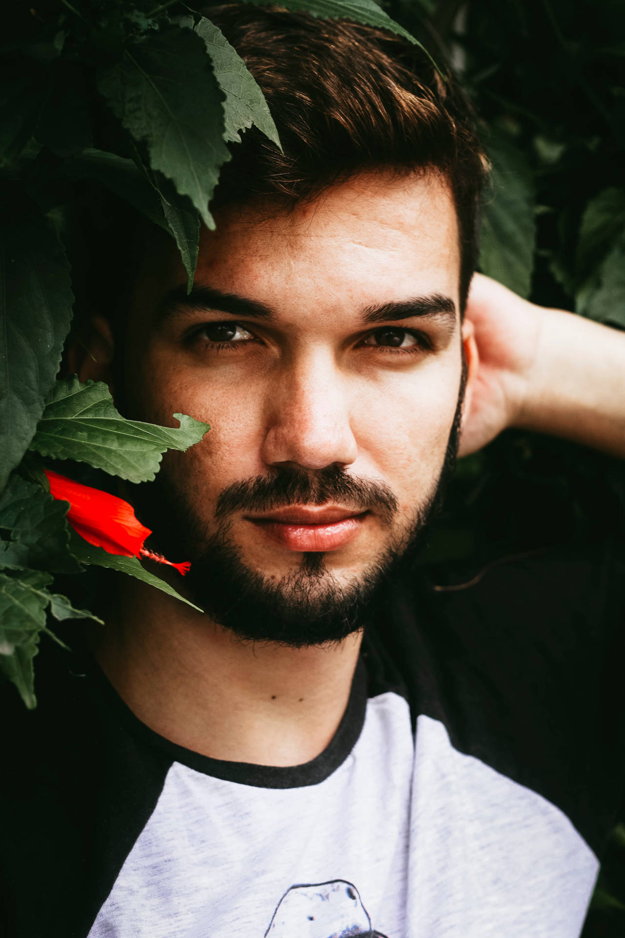 Handsome Man Against Green Leaves