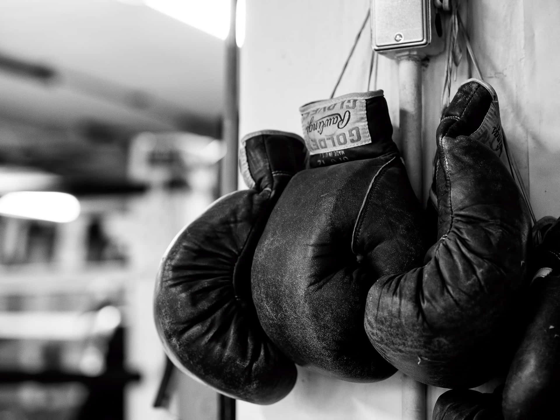 Hanging Boxing Gloves Monochrome Background