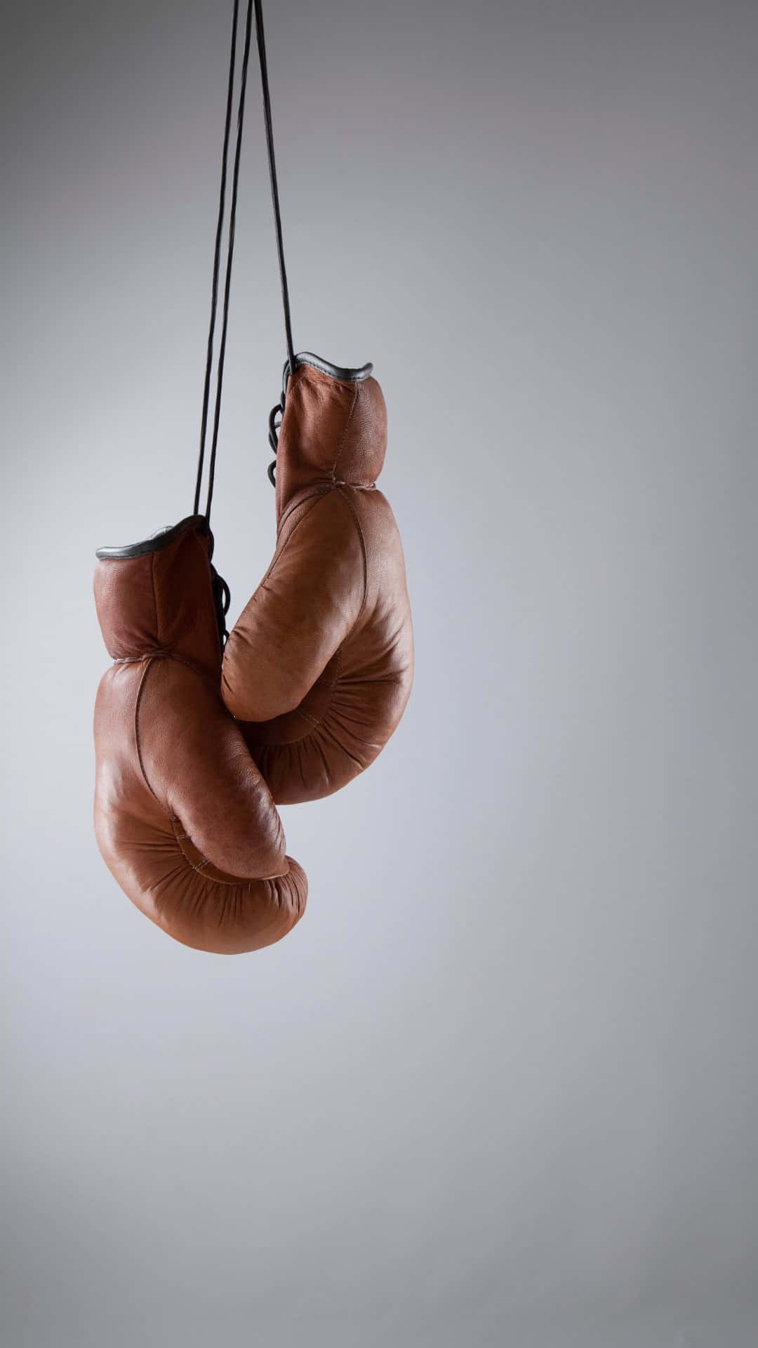 Hanging Boxing Gloves Neutral Backdrop Background