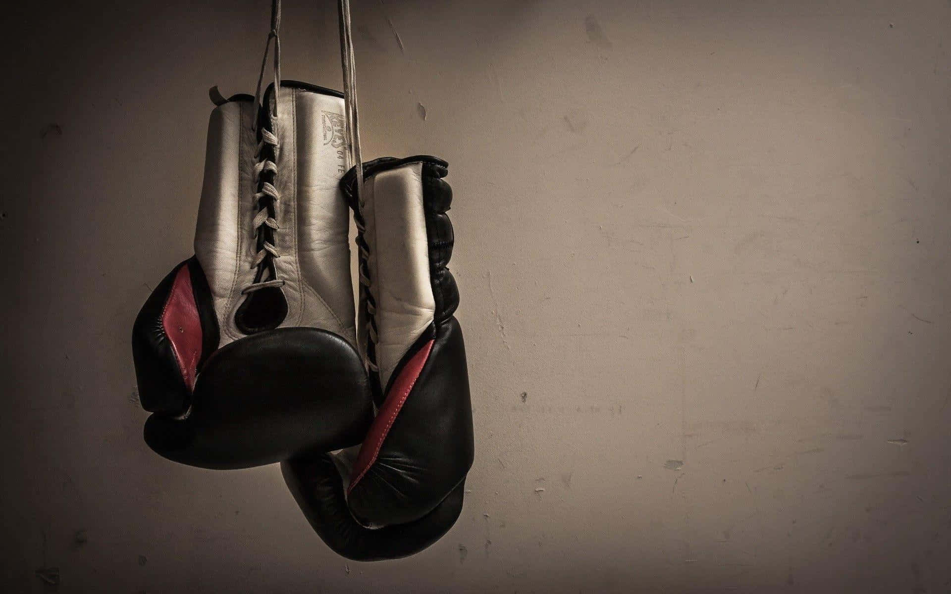 Hanging Boxing Gloves Vintage Style Background