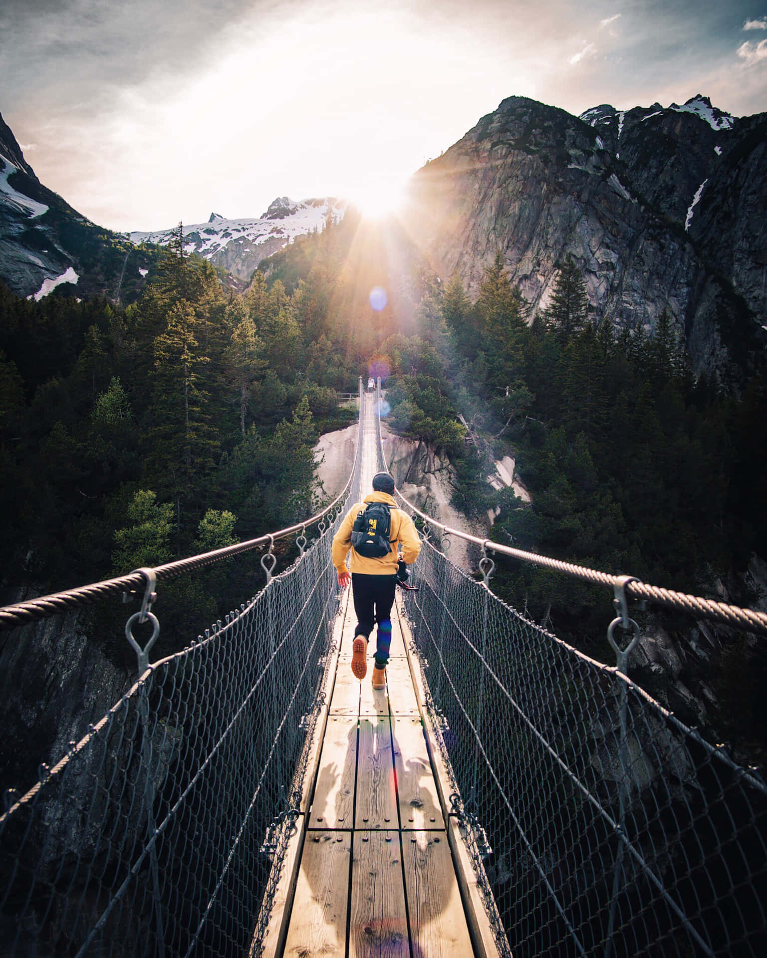 Hanging Bridge Nature Adventure Background