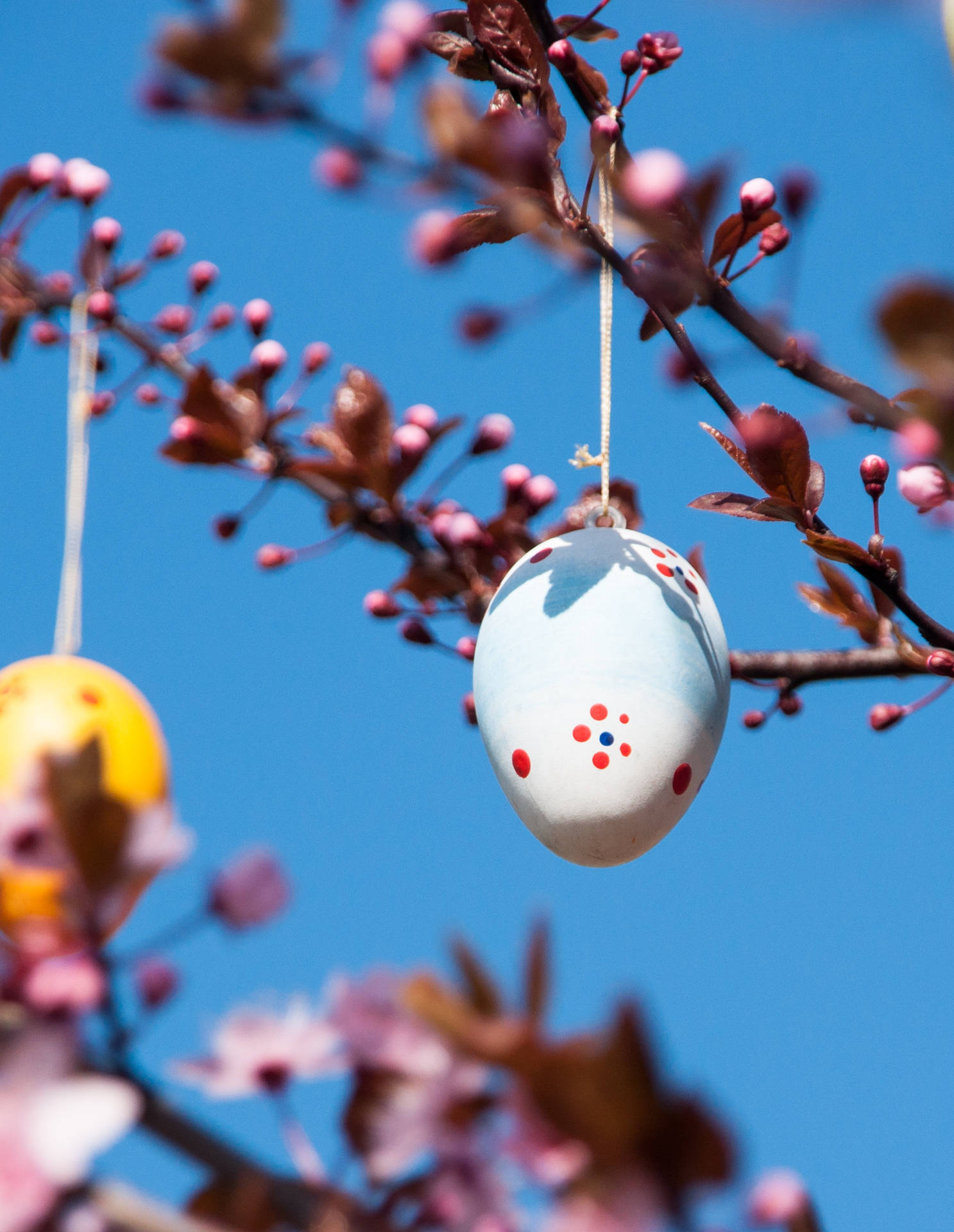 Hanging Easter Eggs Decoration Background