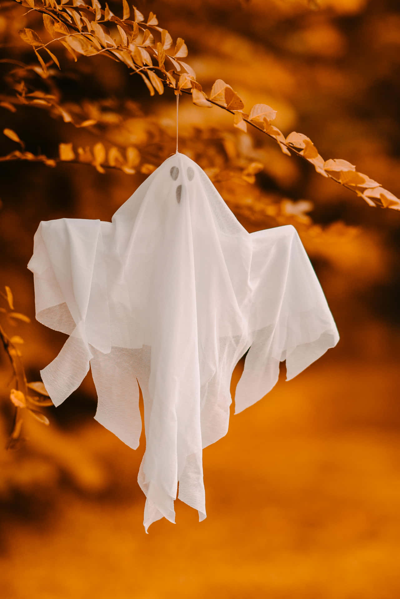 Hanging Ghost Decoration Autumn Backdrop Background