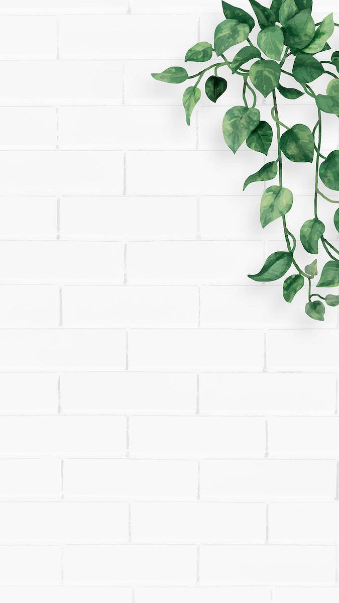 Hanging Plant Brick Wall Green And White Aesthetic Background