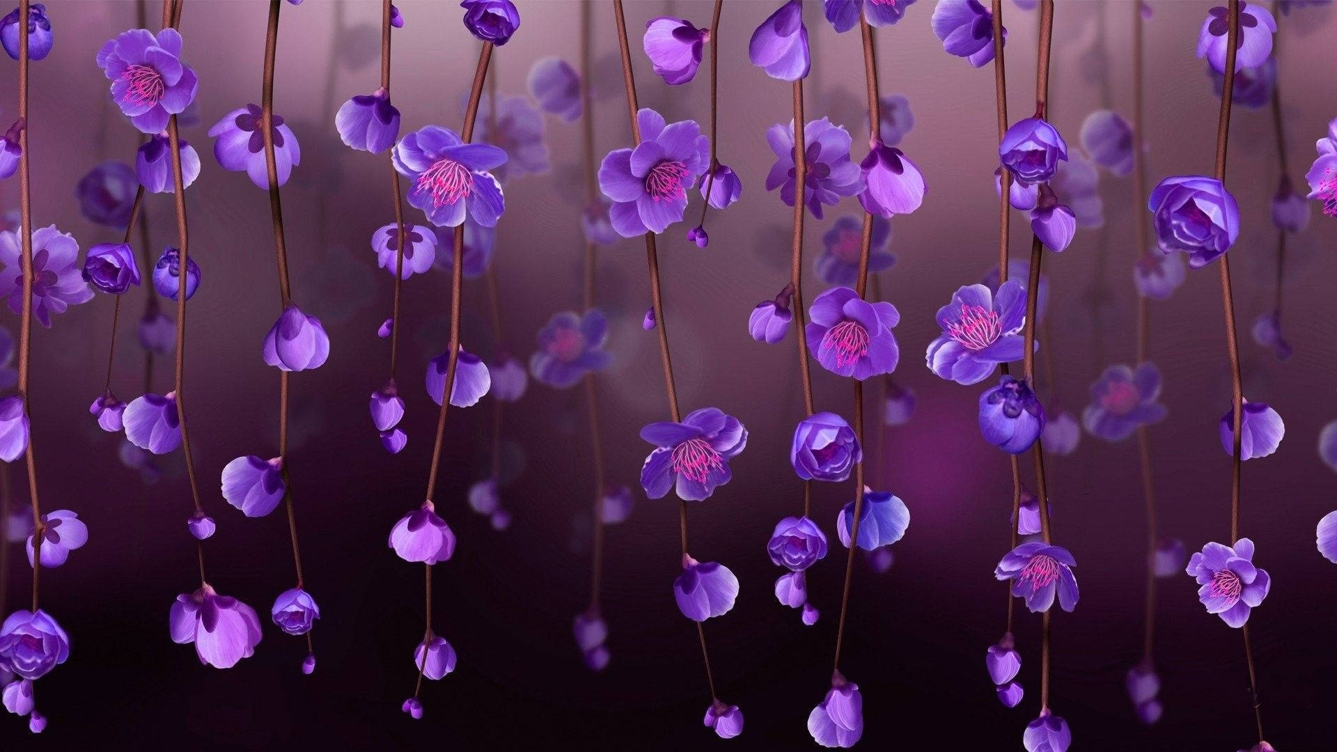 Hanging Purple Flowers Digital Artwork