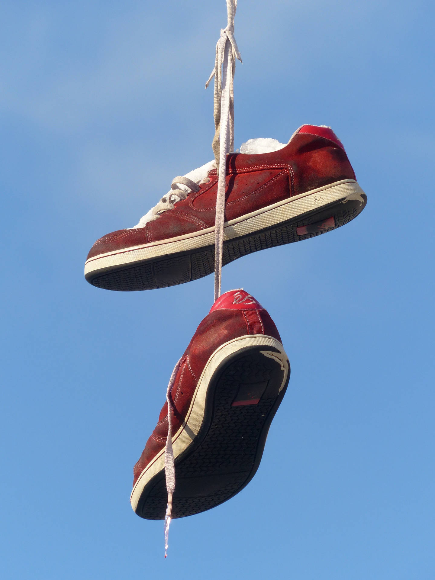 Hanging Red Shoes