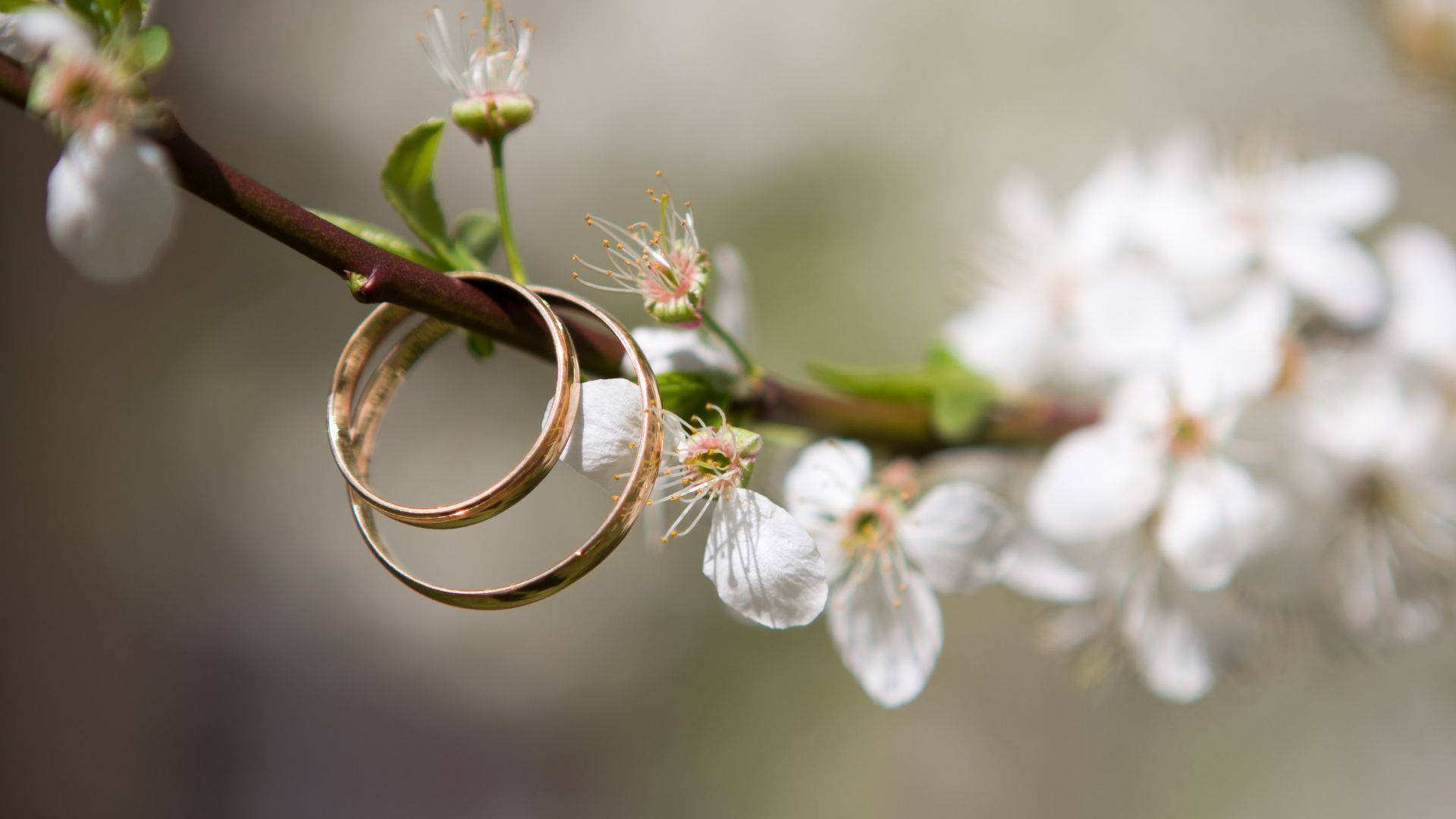 Hanging Wedding Ring