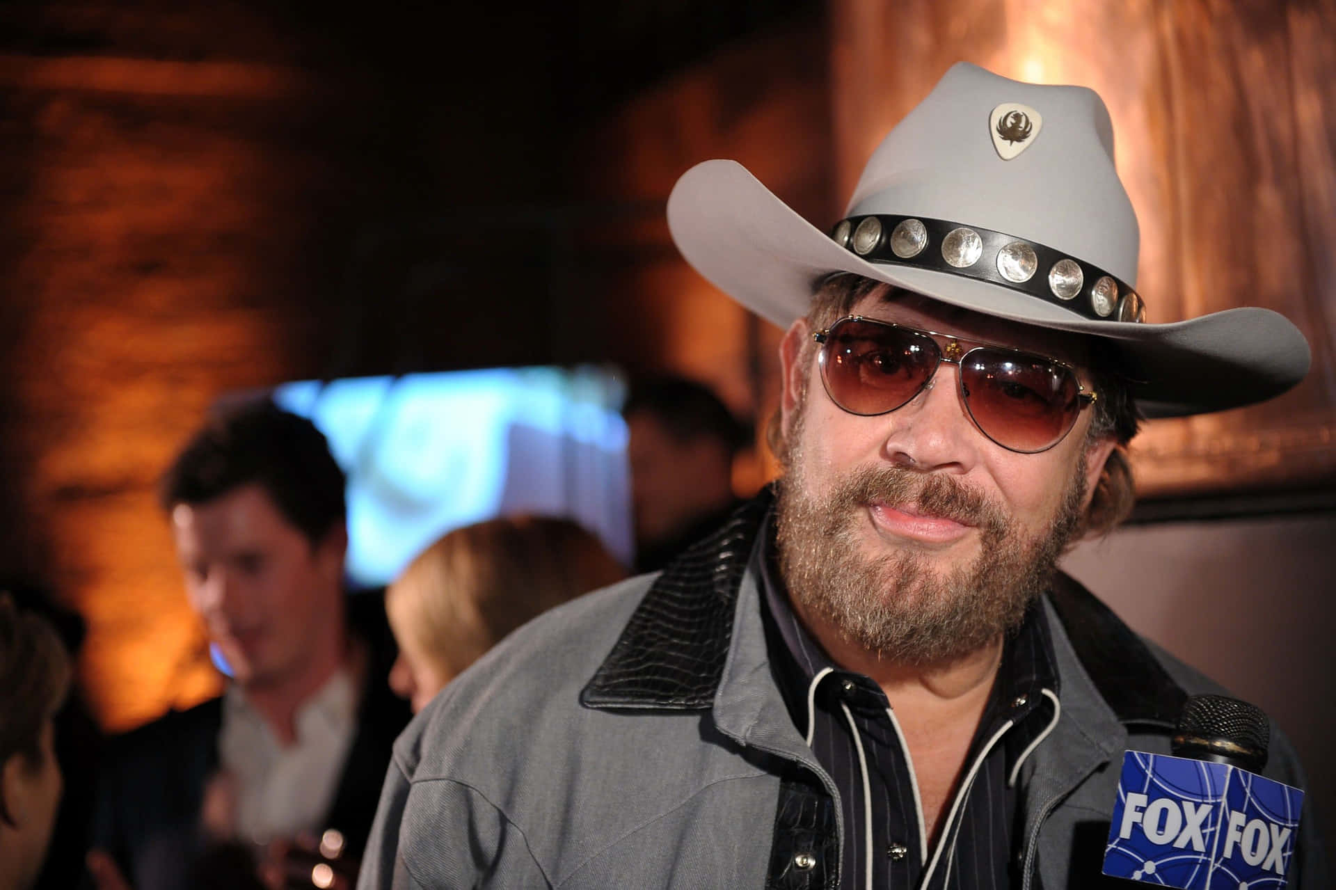Hank Williams Jr. Capturing The Country Music Scene