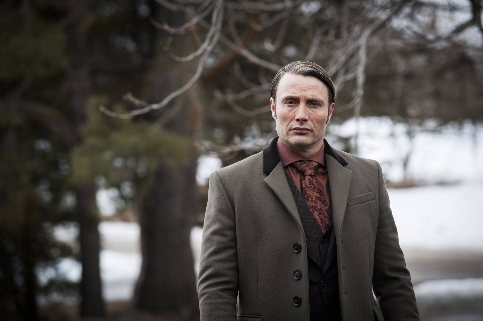 Hannibal In Snow Background