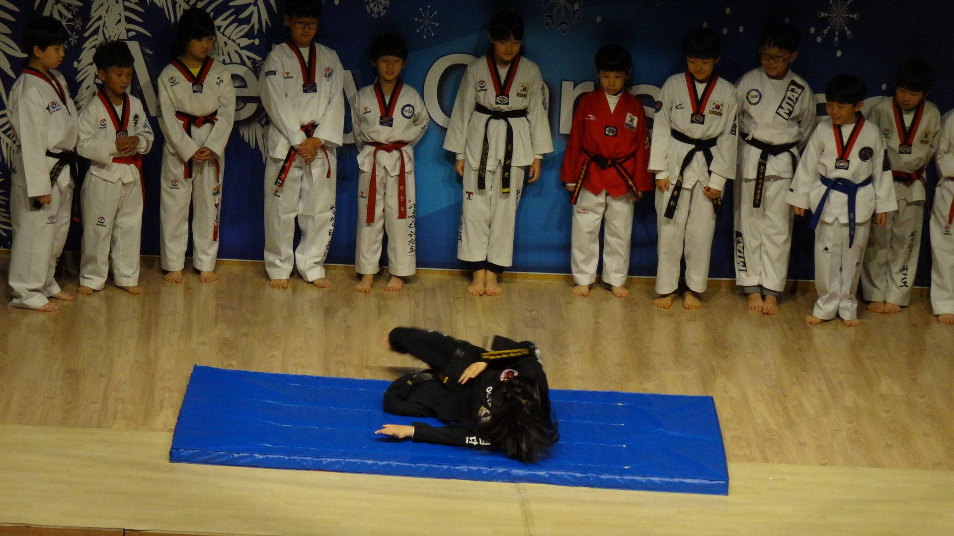 Hapkido Kids Class Demonstration Background