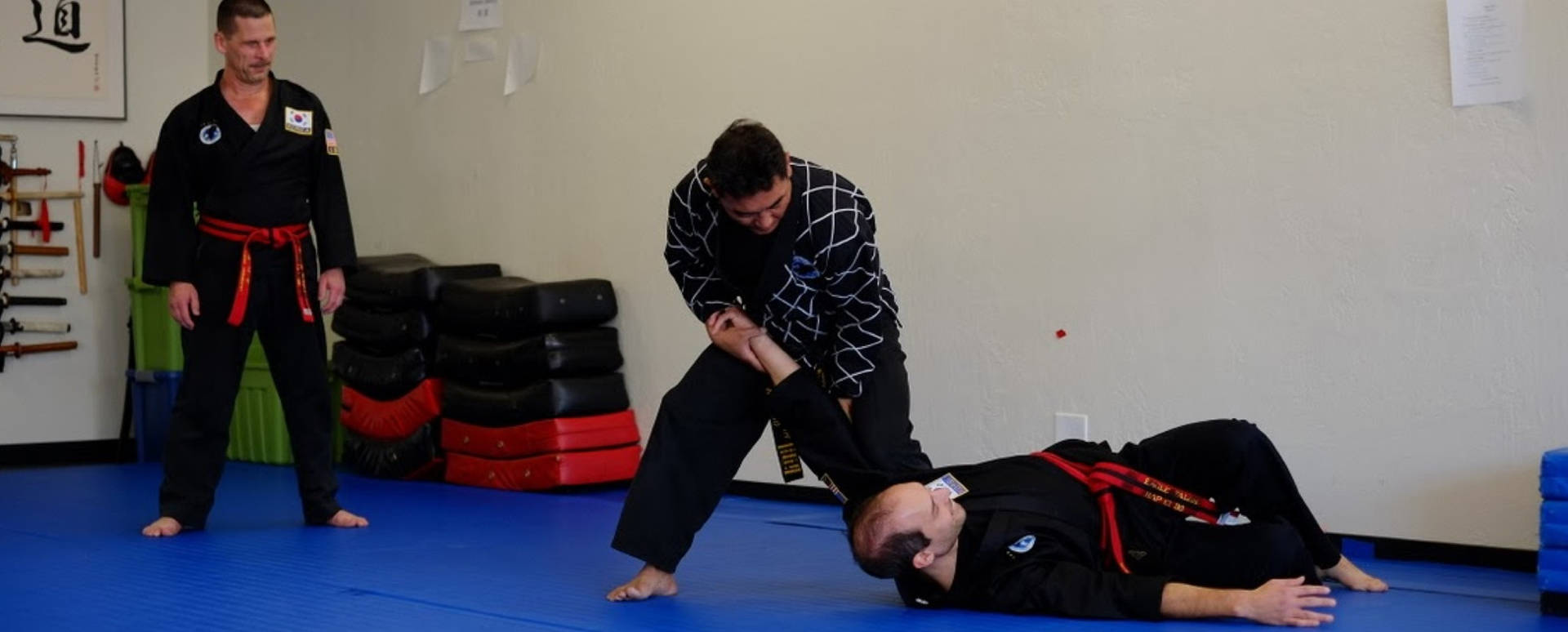 Hapkido Master Practicing A Power Throw Background