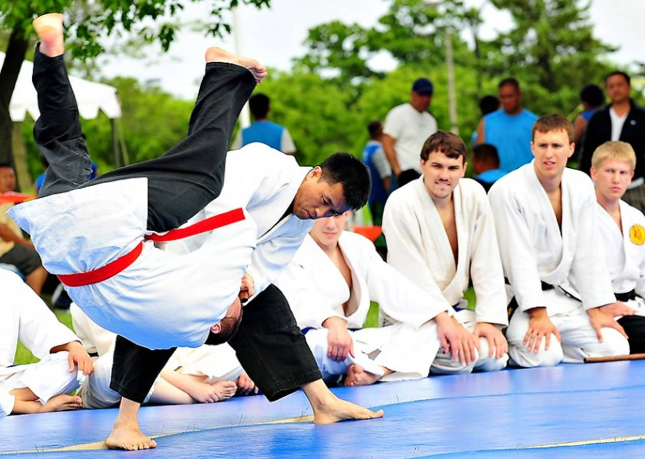 Hapkido Outdoor Class Demonstration Background