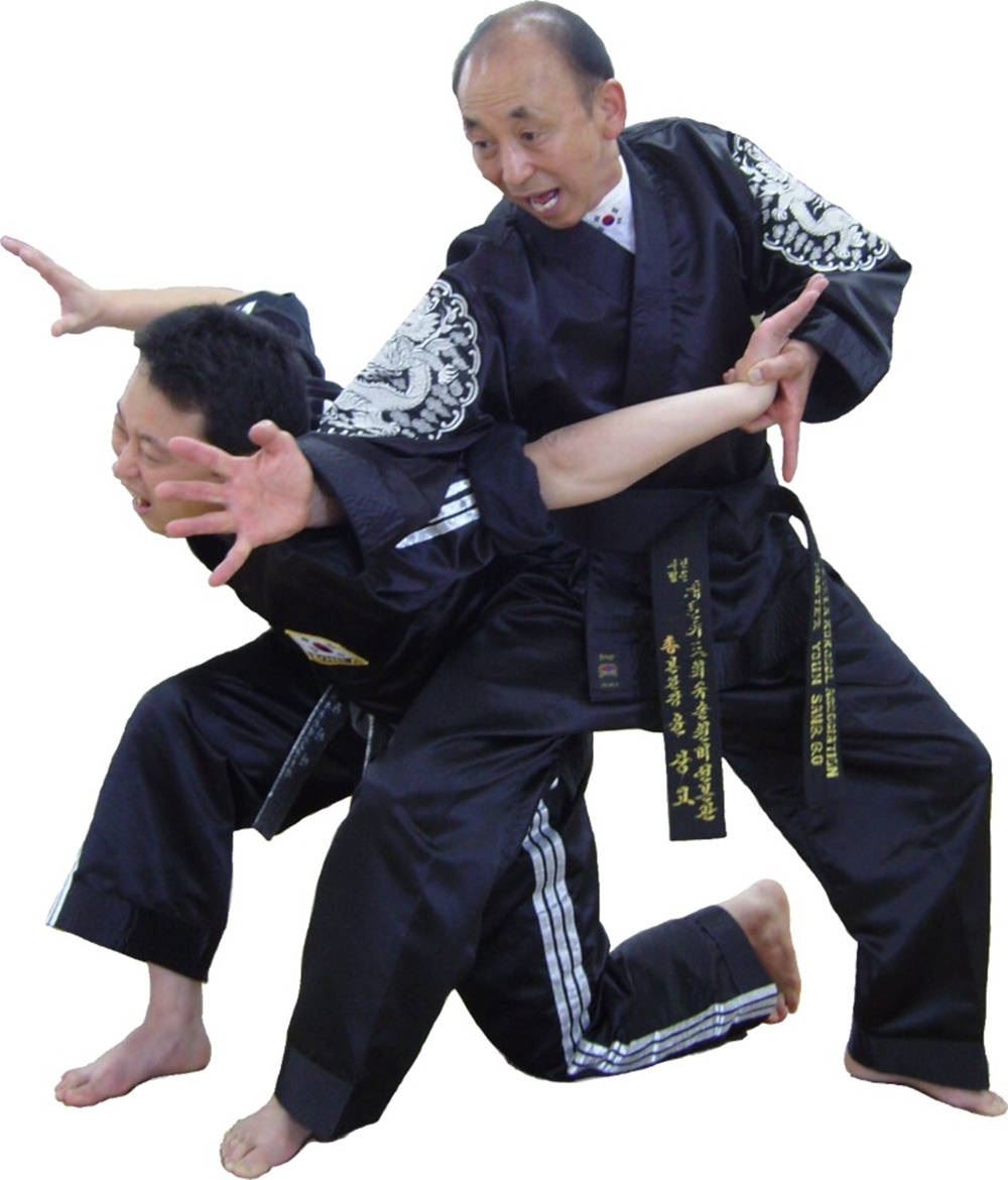 Hapkido Shoulder And Wrist Control Background