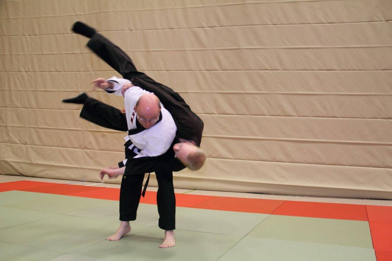 Hapkido Shoulder Throw Background