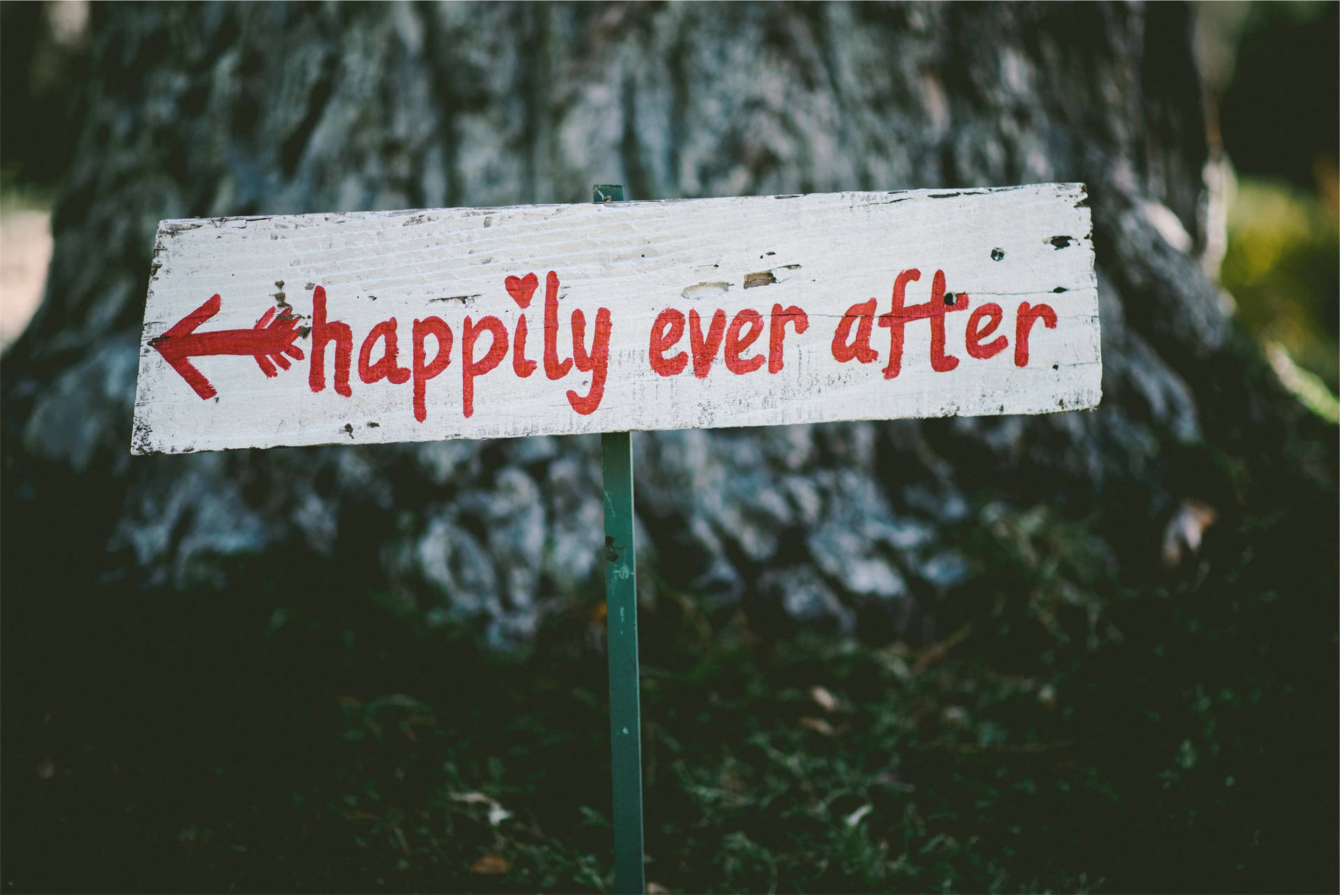 Happily Ever After Signage Background