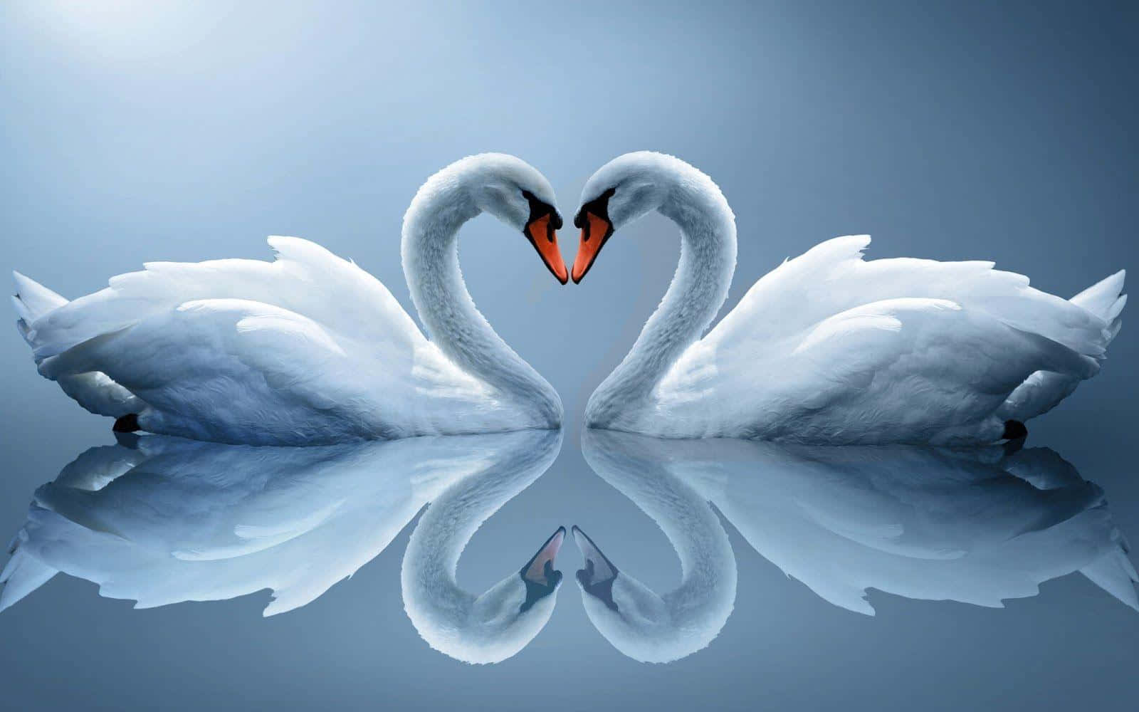 Happiness Is Love Shared Between Two Hearts Background