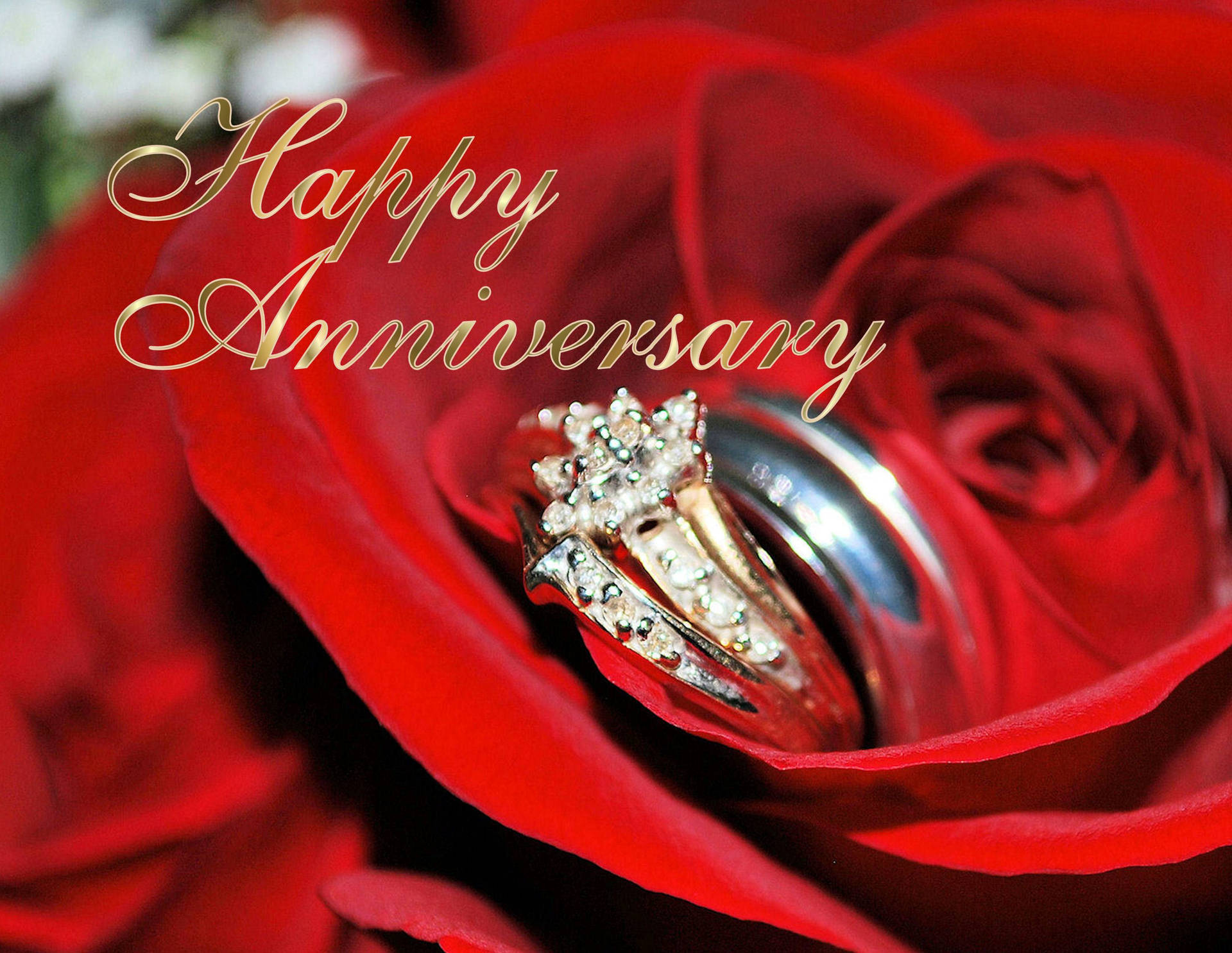 Happy Anniversary Diamond Ring Inside Rose