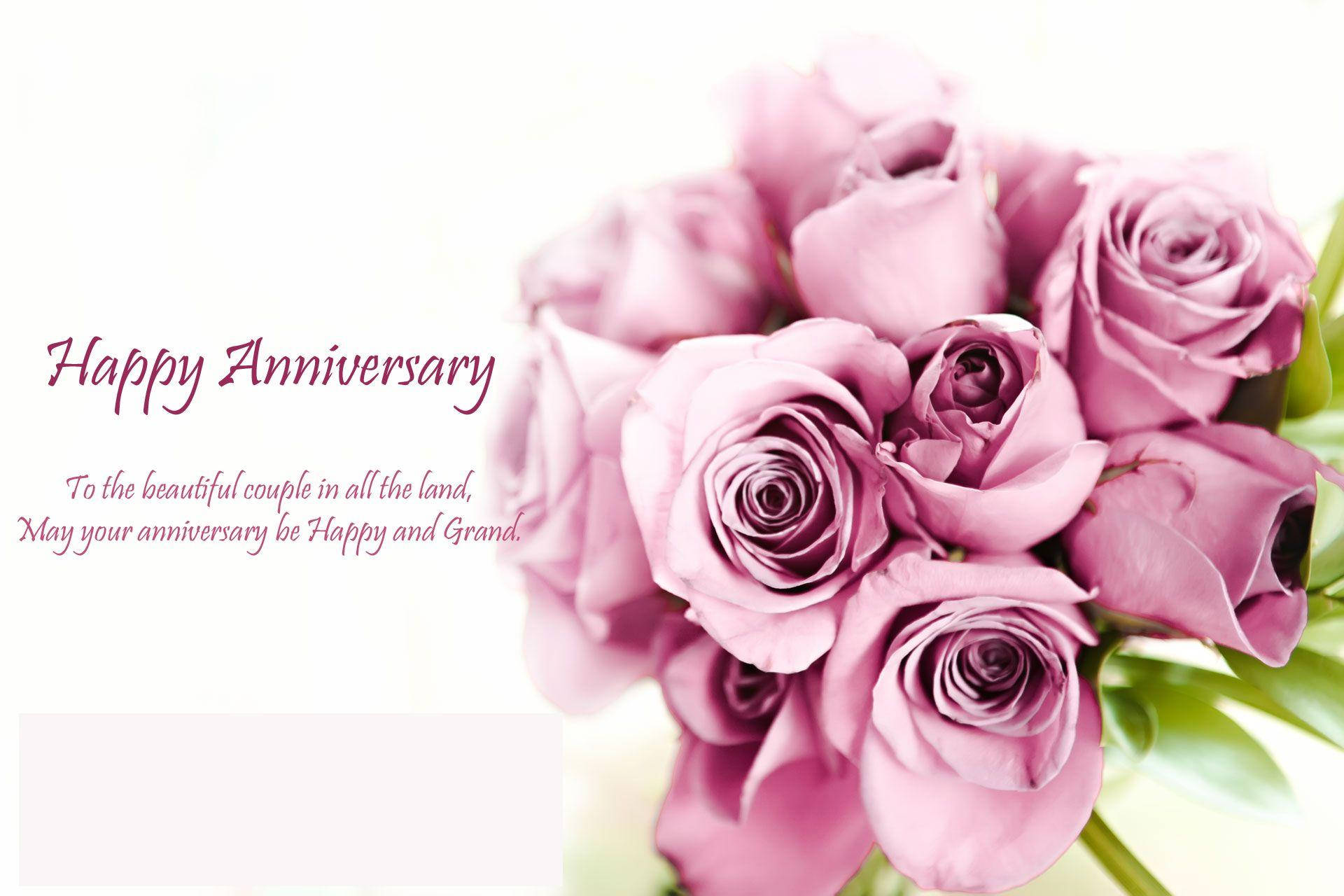 Happy Anniversary Elegant Pink Roses