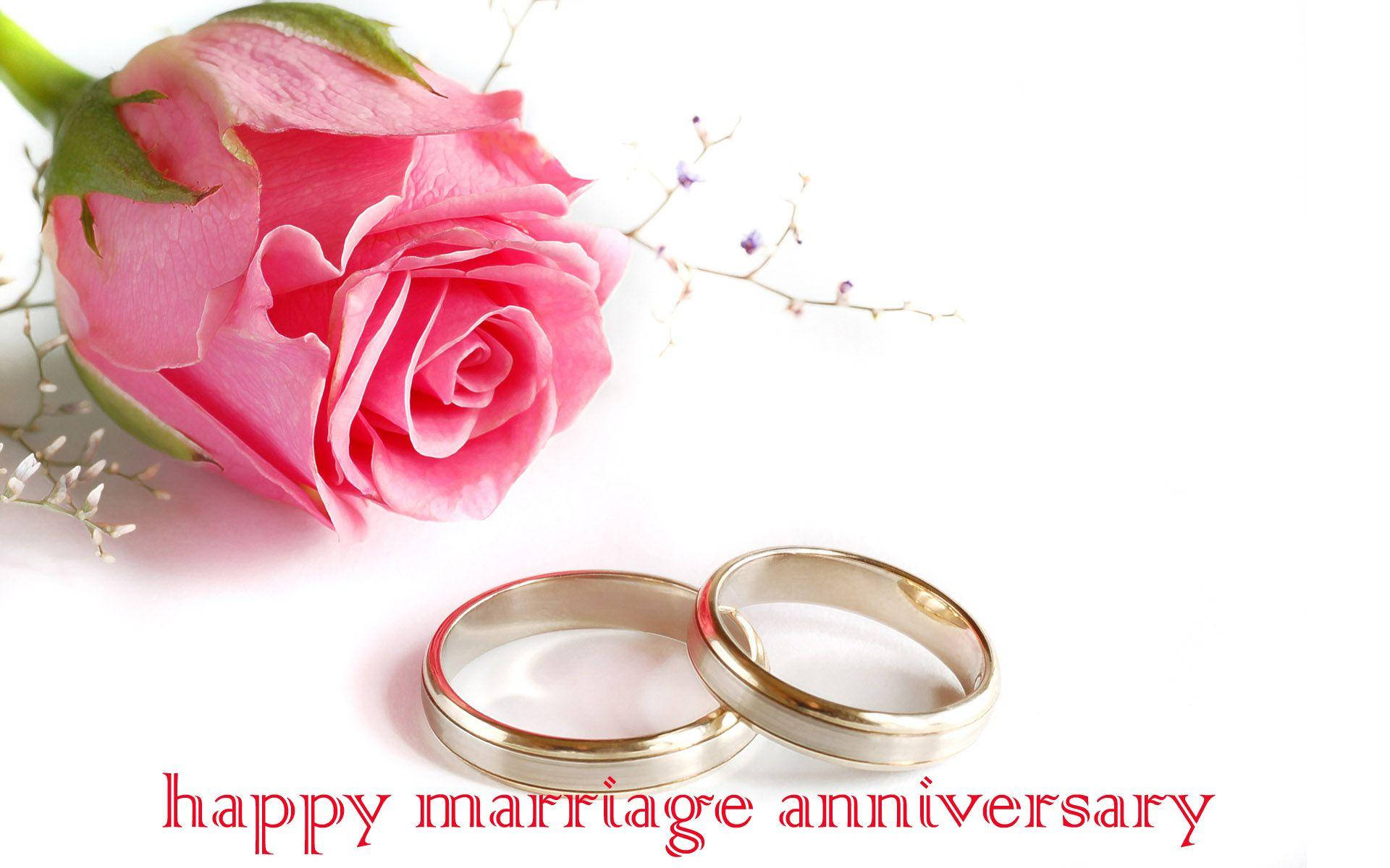 Happy Anniversary Pink Rose And Rings Background