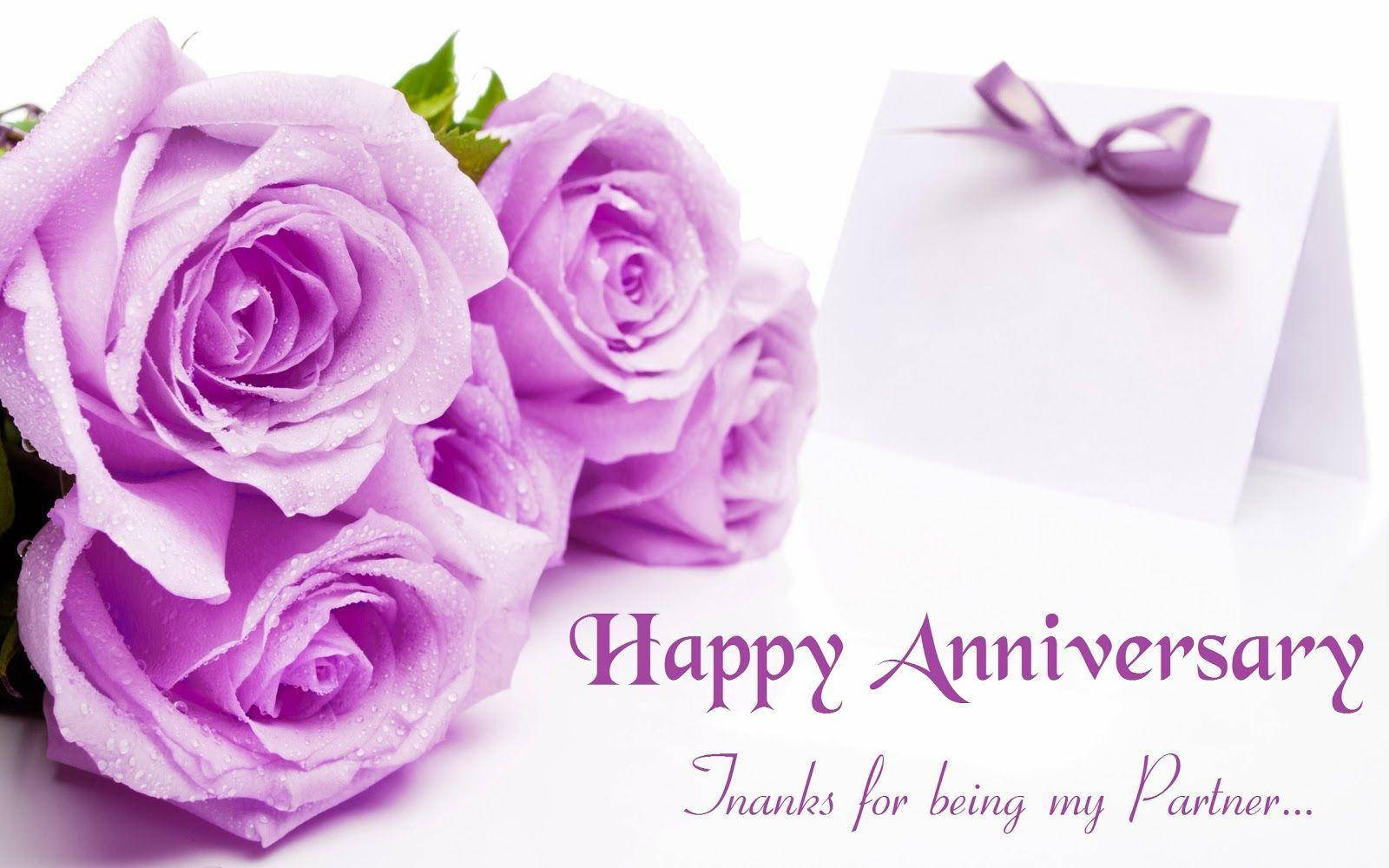 Happy Anniversary Violet Roses Background