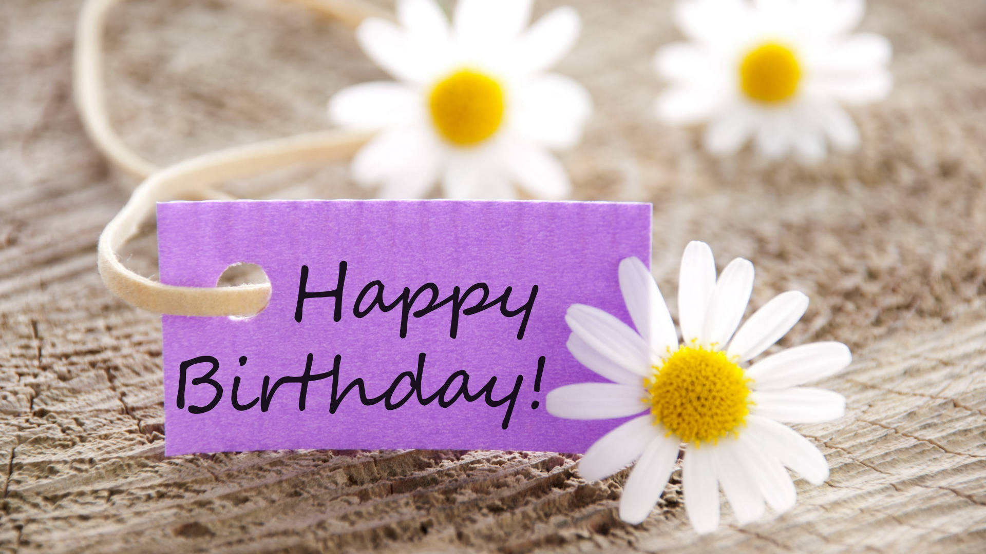 Happy Birthday Flower Dasies With Card