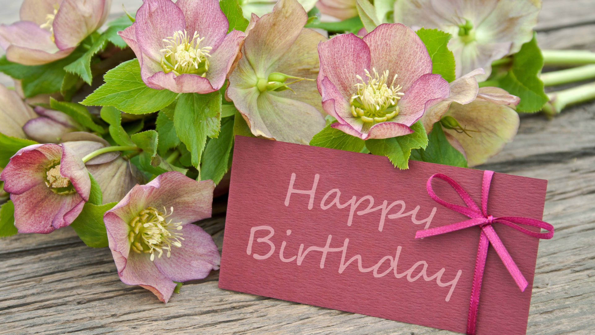Happy Birthday Flower With Greeting Card Background