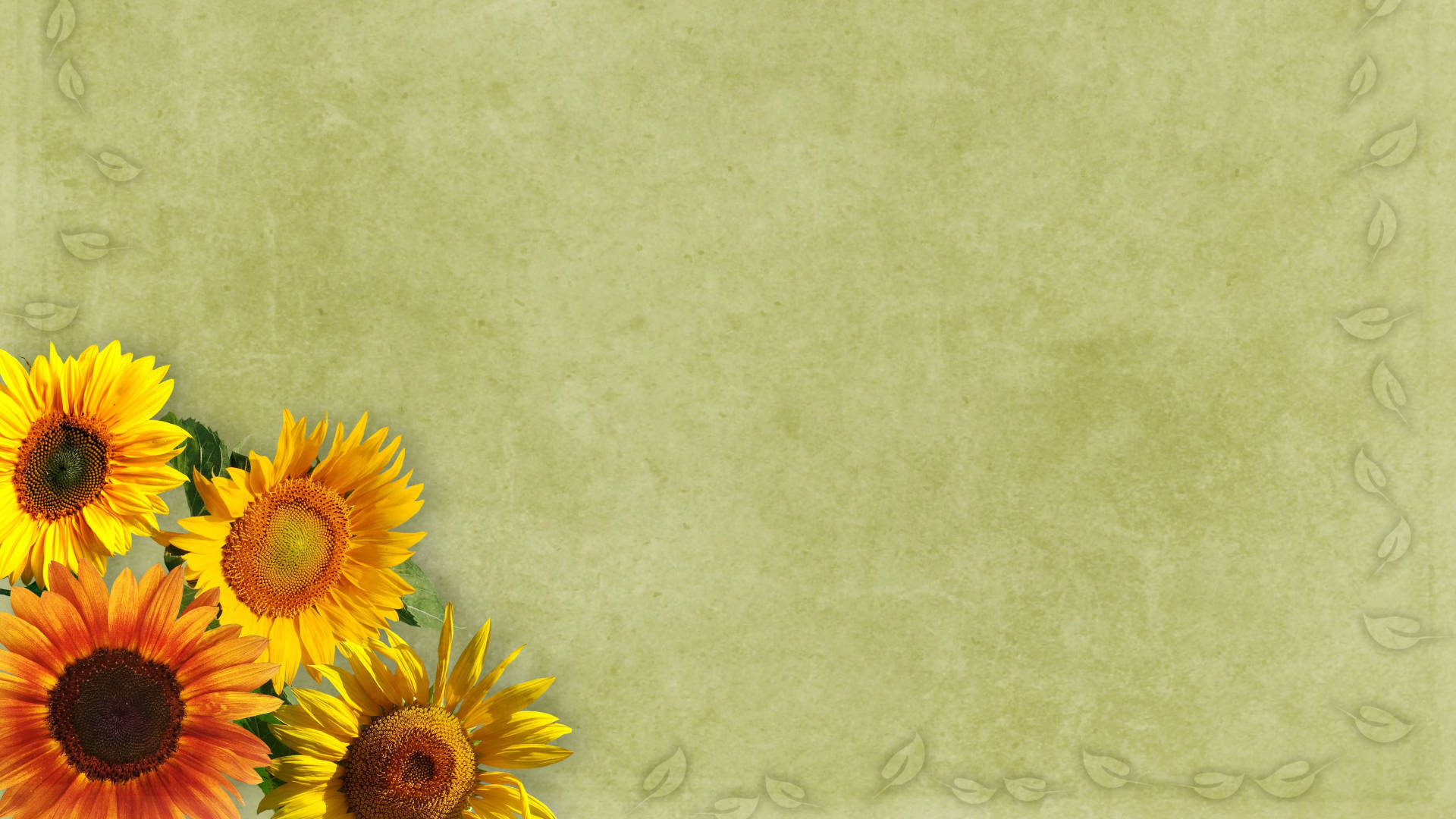 Happy Birthday Sunflowers Note Background