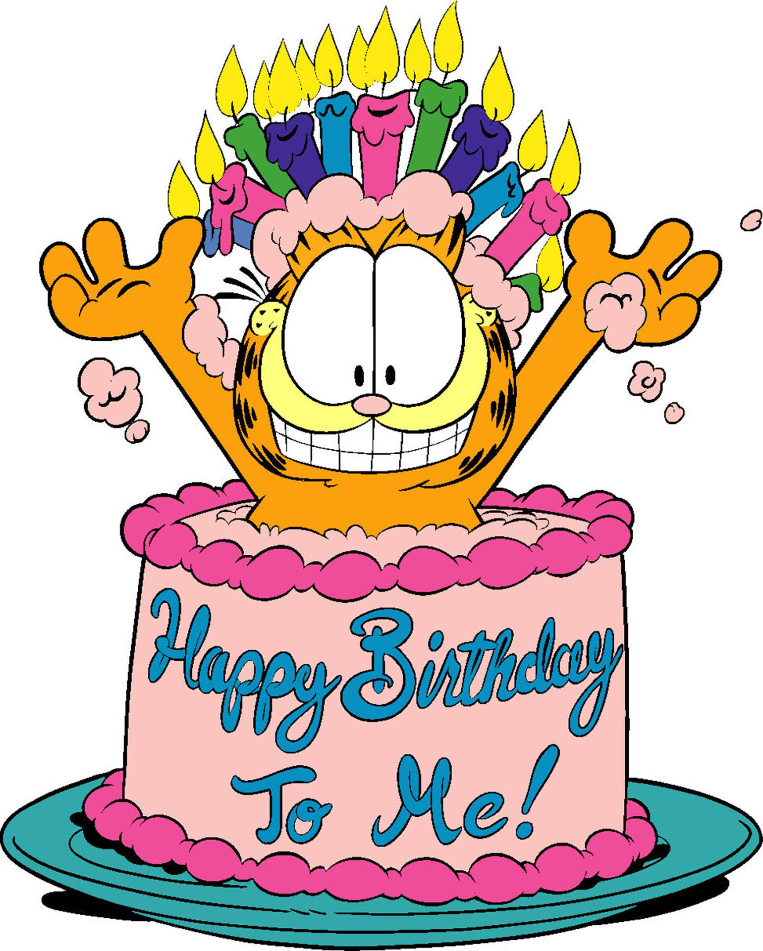 Happy Birthday To Me With Garfield