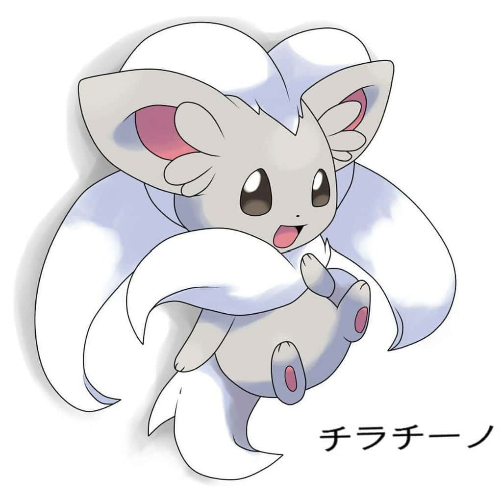 Happy Cinccino Background