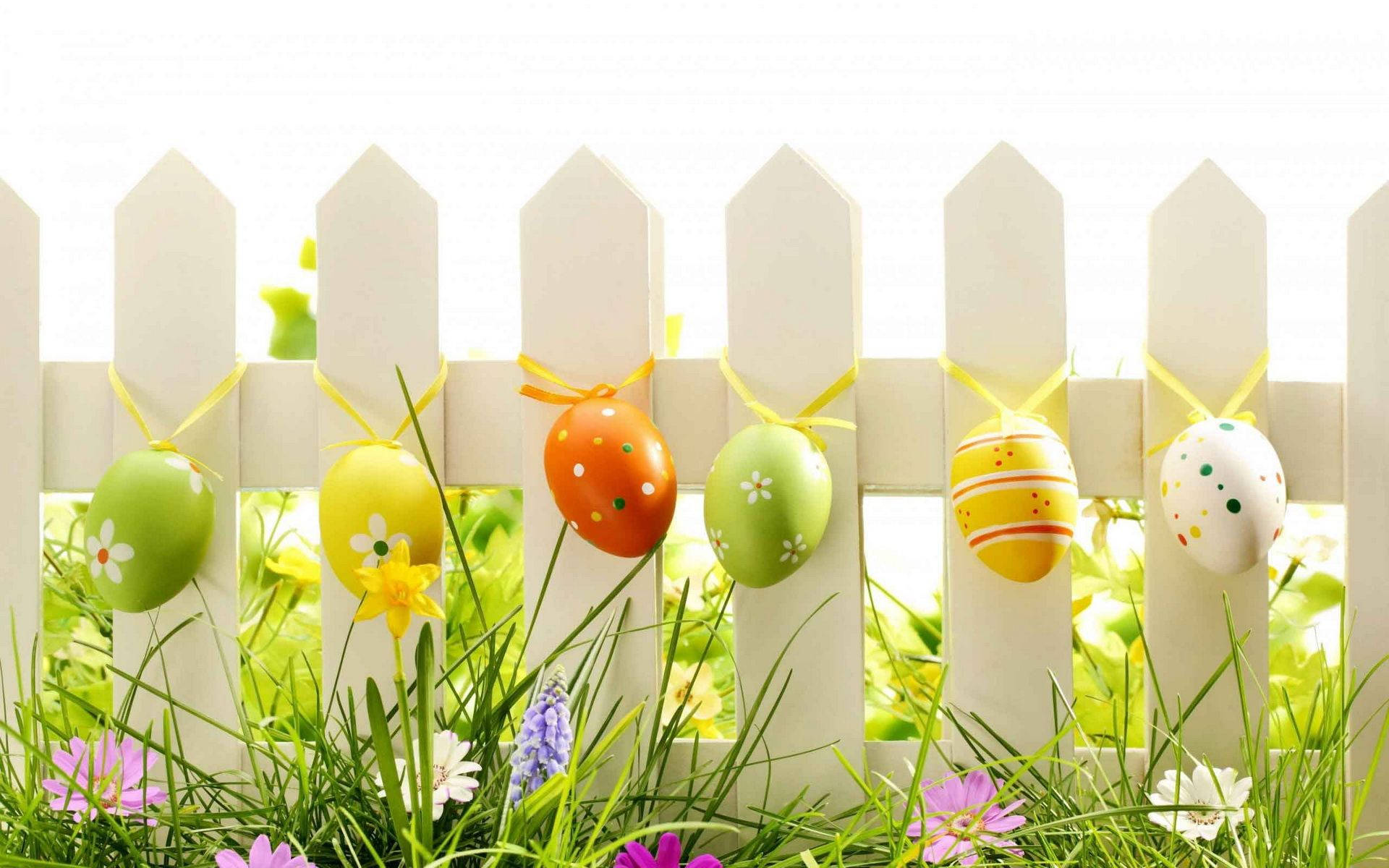 Happy Easter Decorated Fence With Grass And Eggs Background