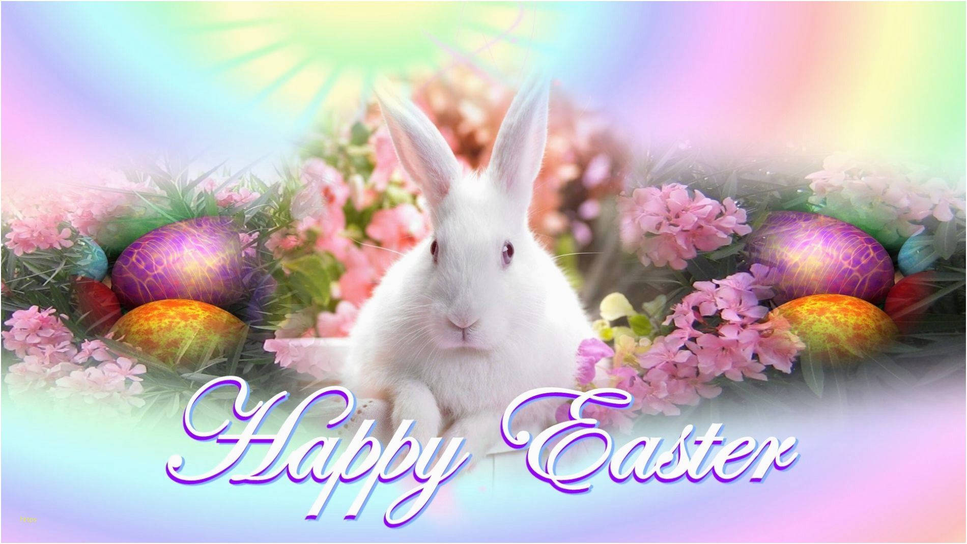 Happy Easter Real White Rabbit Greeting Card Background