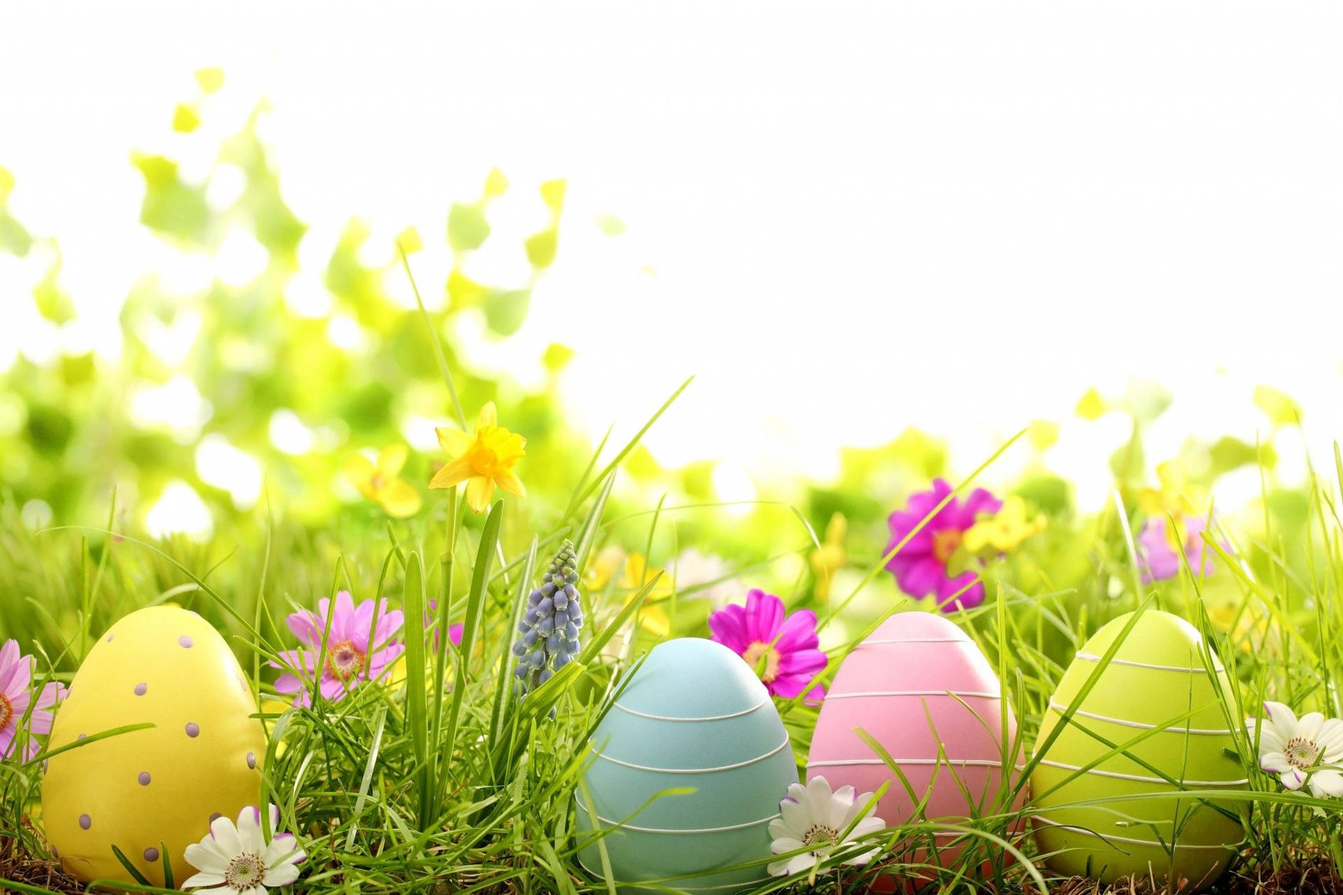 Happy Easter Sunday With Assorted Eggs On Grass Background
