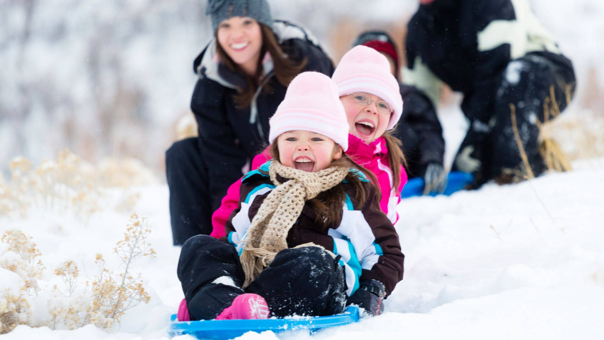 Happy Family Winter Sledding