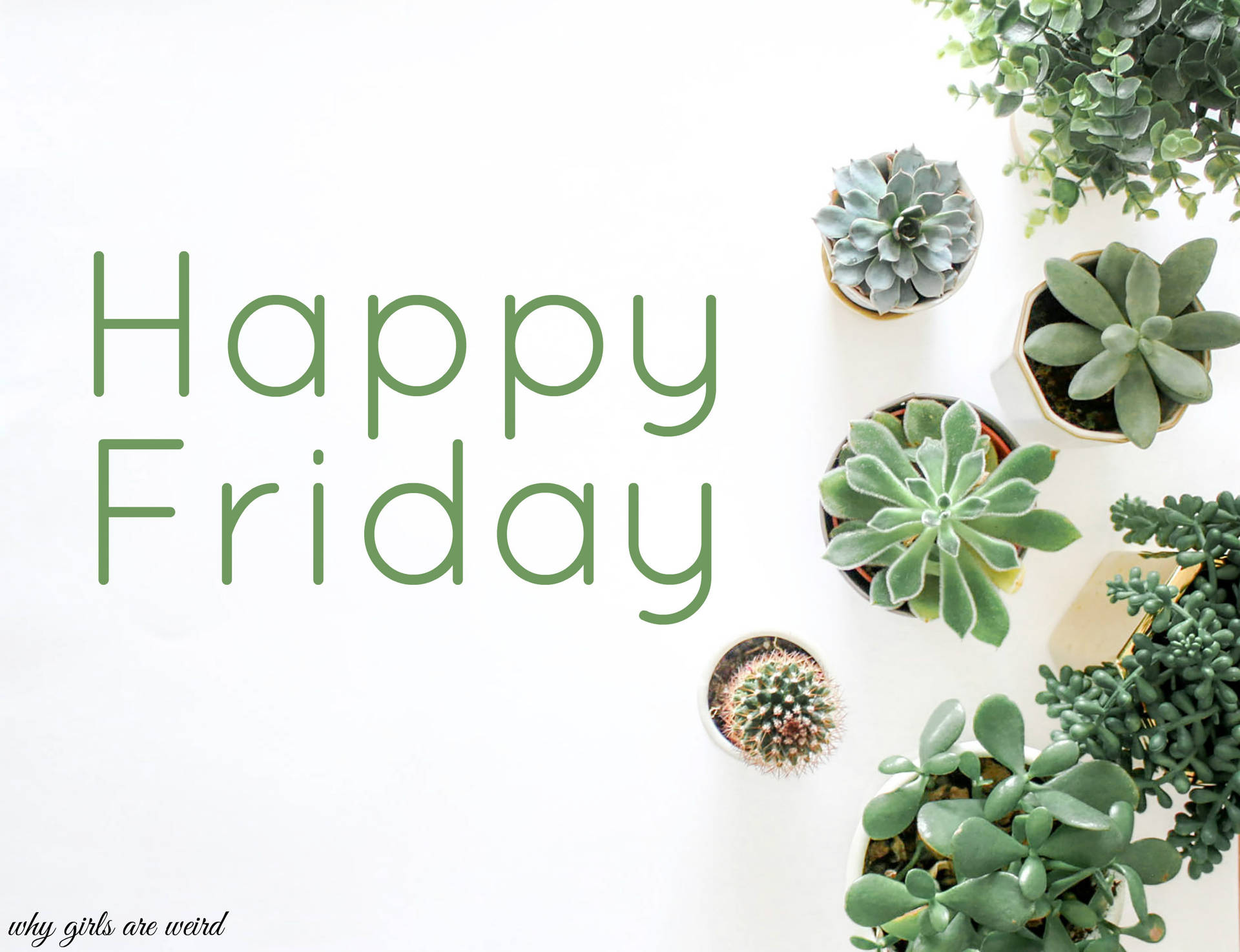 Happy Friday Cactus Day Background