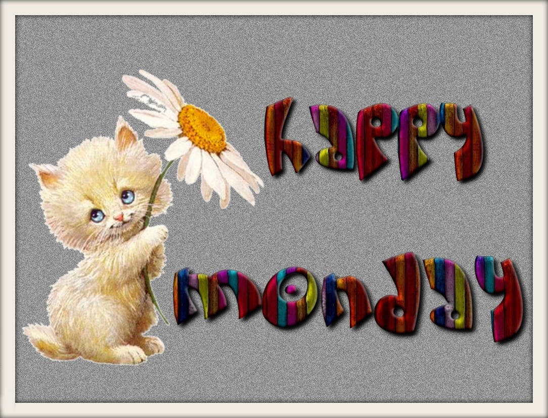 Happy Monday Kitten Background