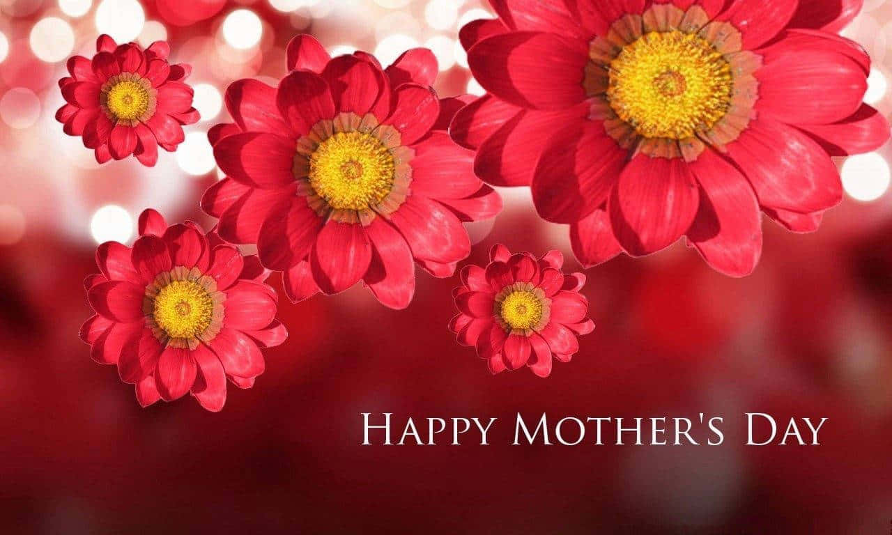 Happy Mothers Day Greeting Red Flowers Background Hd