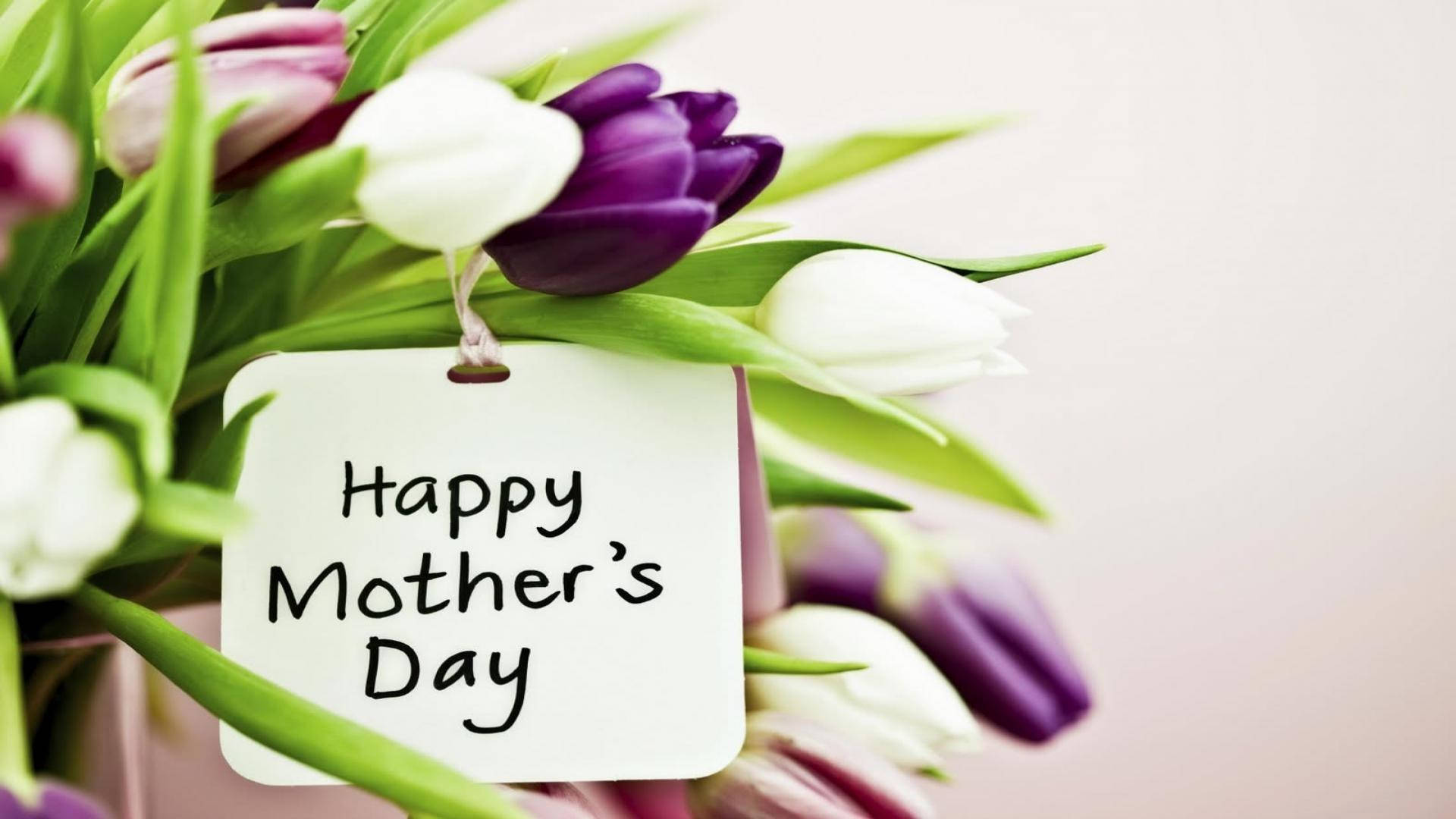 Happy Mothers Day Violet Roses Background
