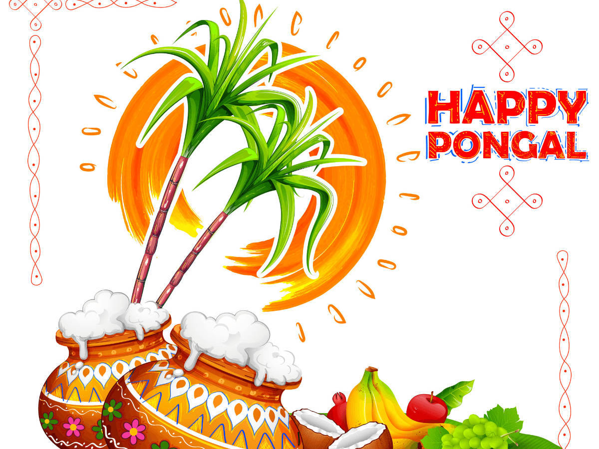 Happy Pongal Artwork Background