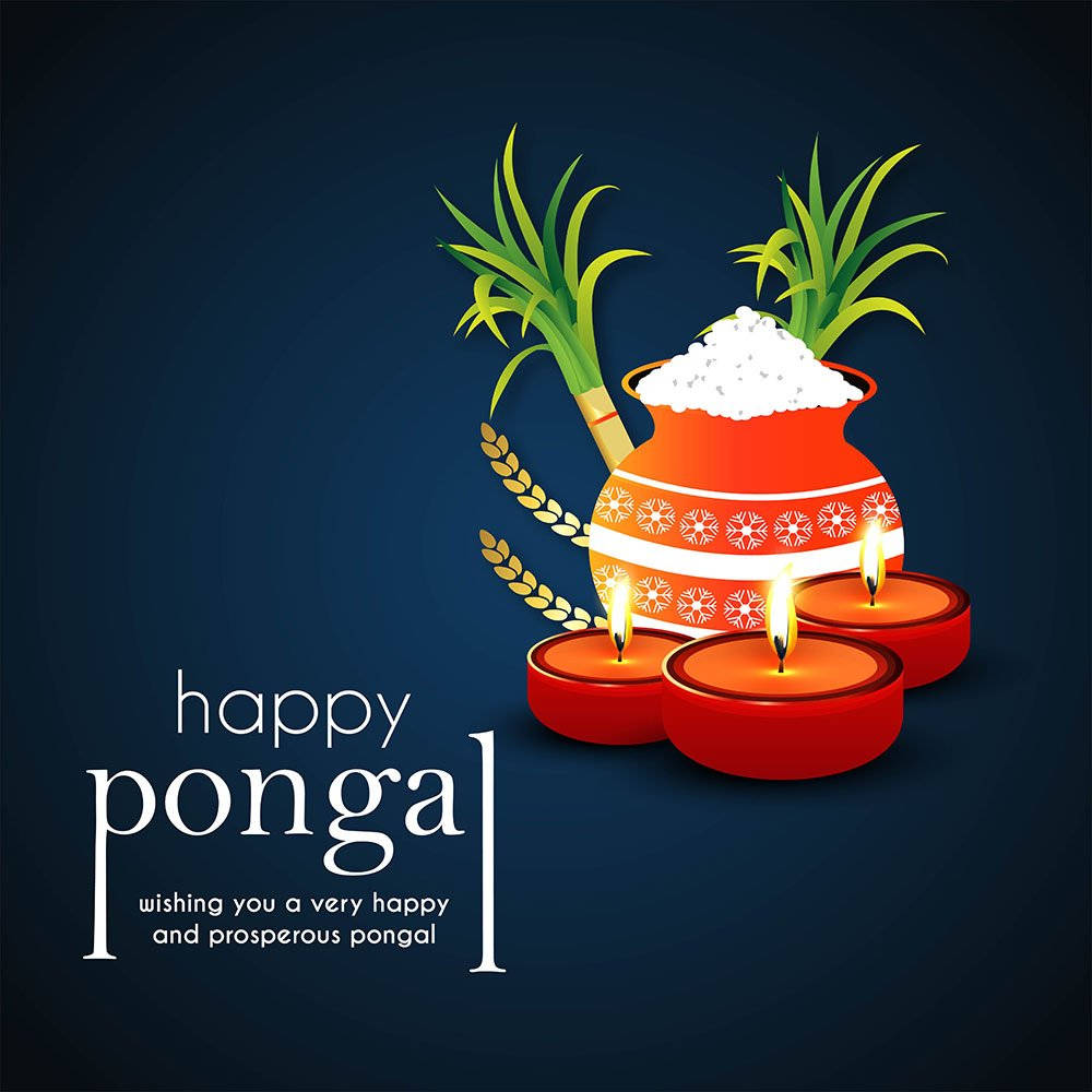 Happy Pongal Festivity Wishes
