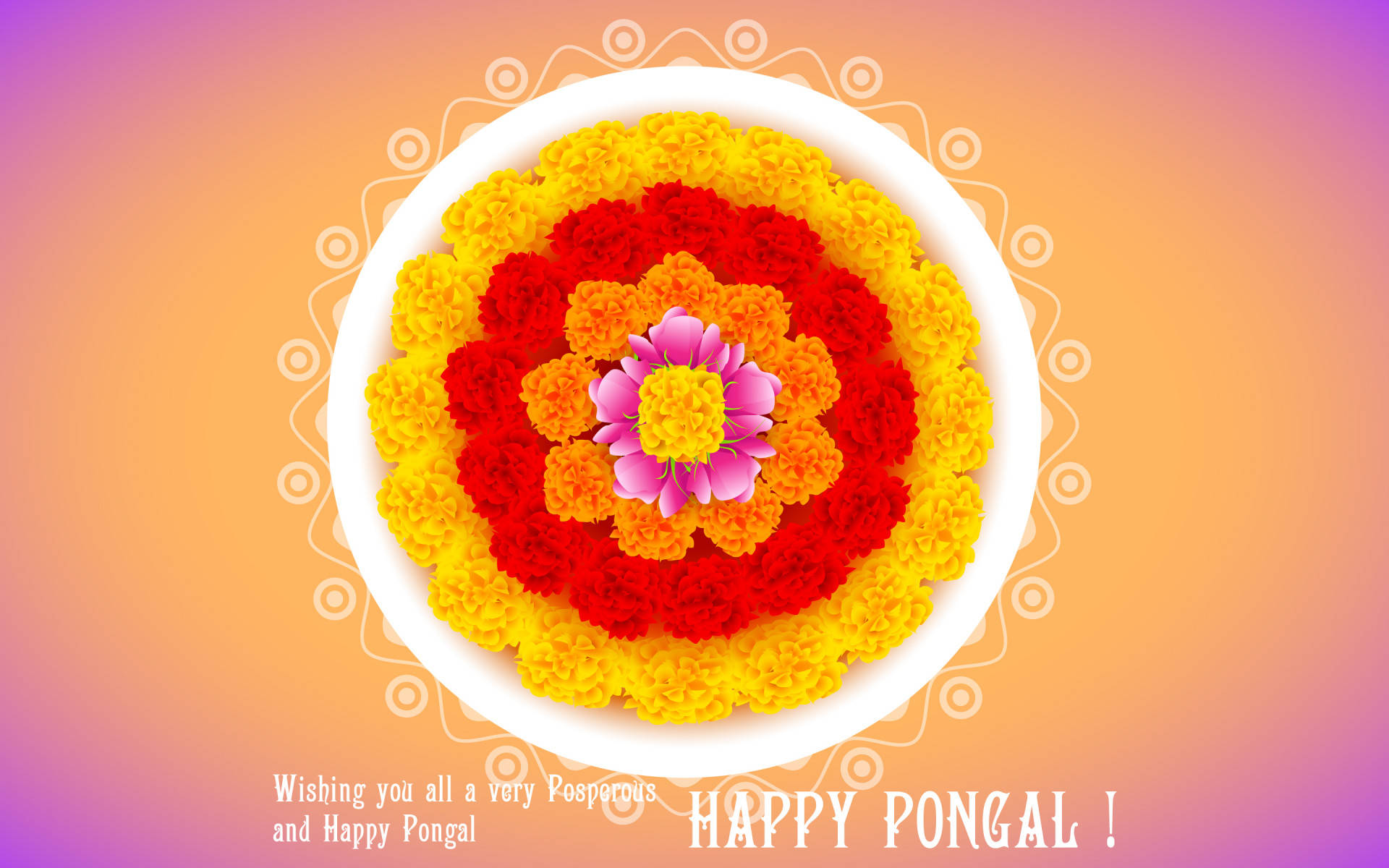 Happy Pongal Flower Arrangement Background