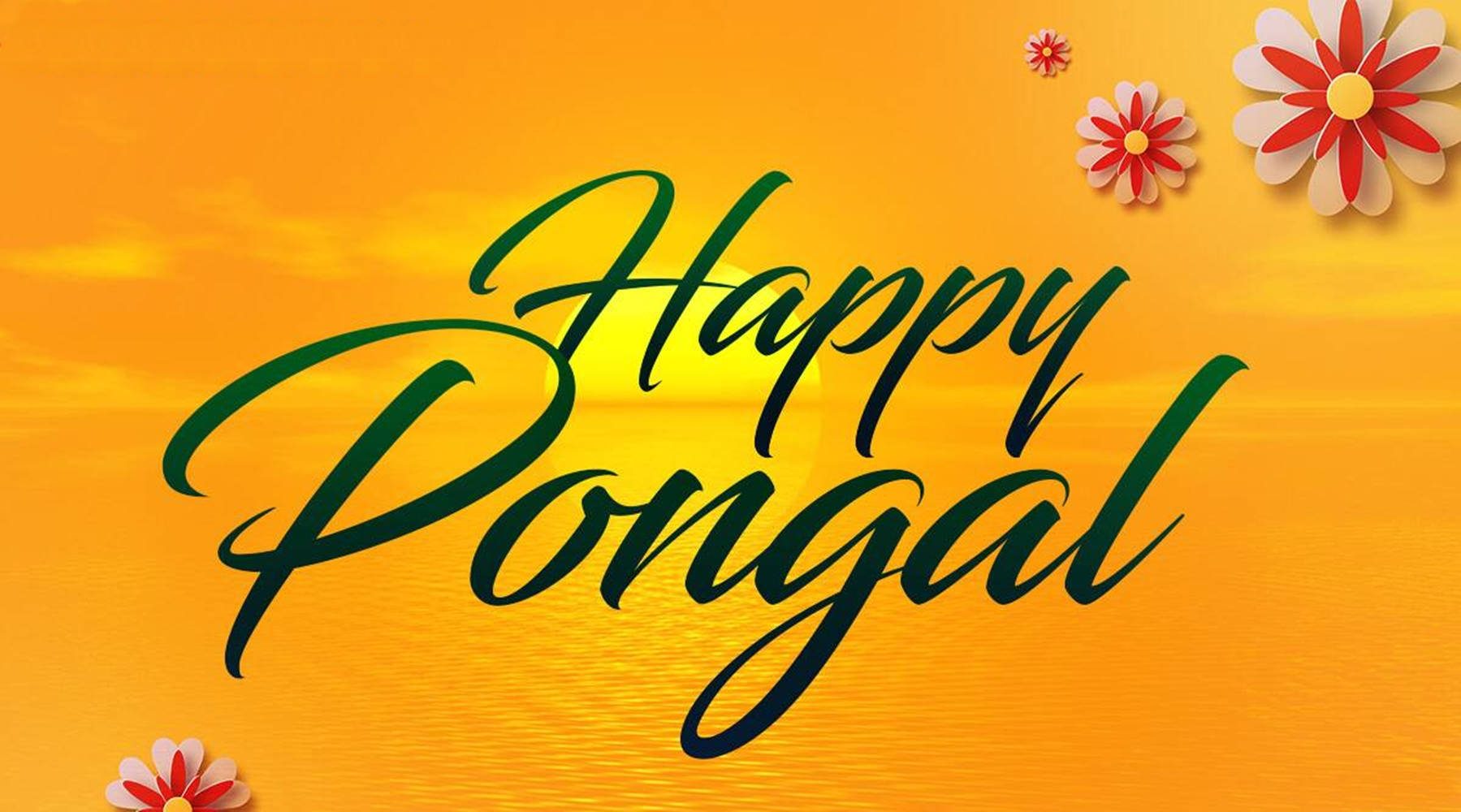 Happy Pongal Holiday Greeting