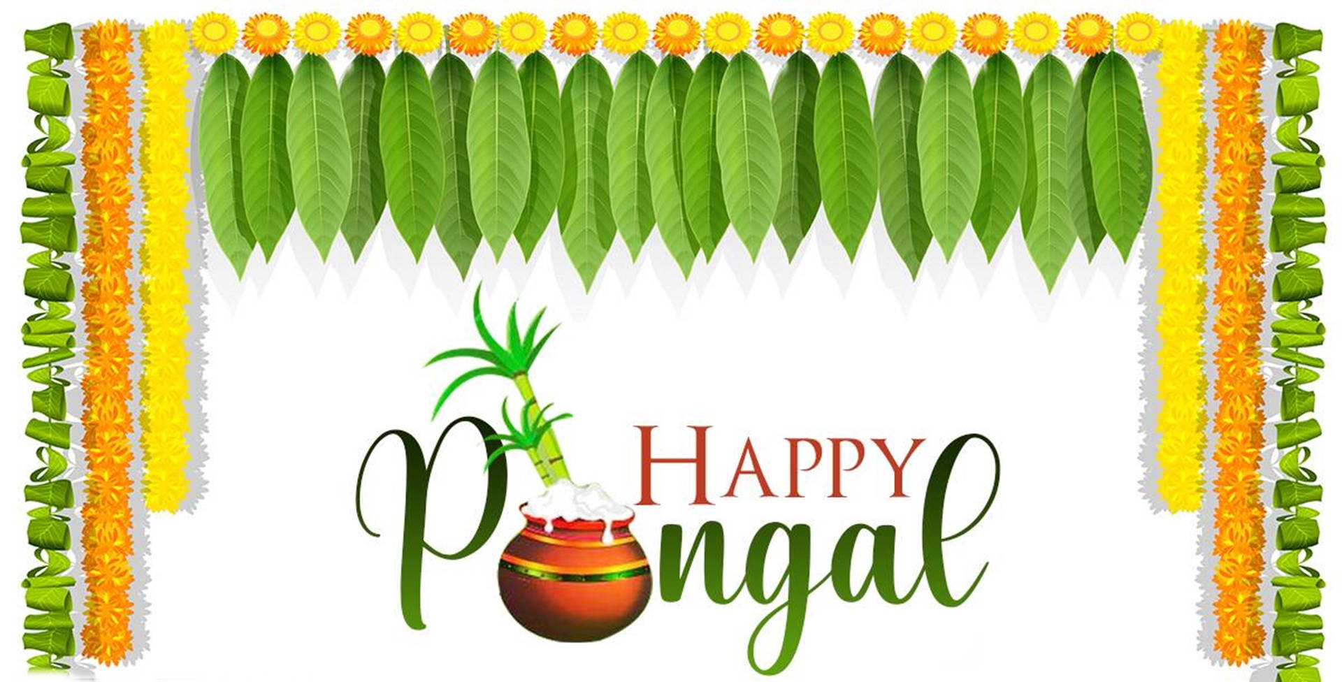 Happy Pongal Palm Leaves Background